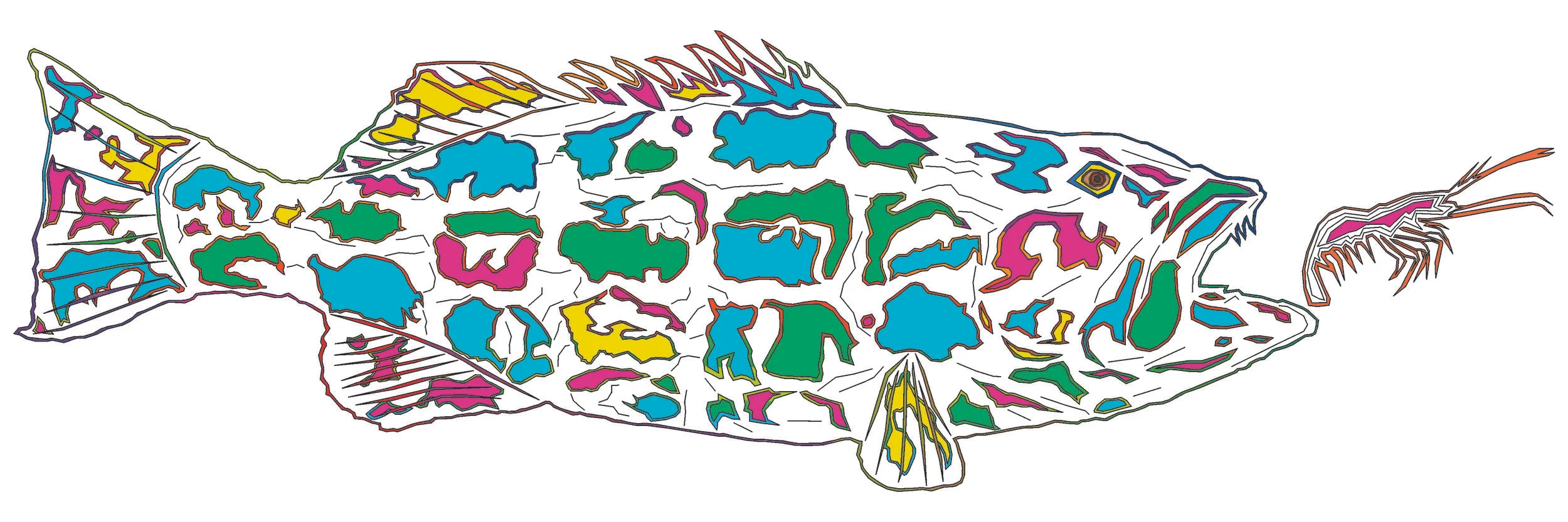 sea bass 131.jpg