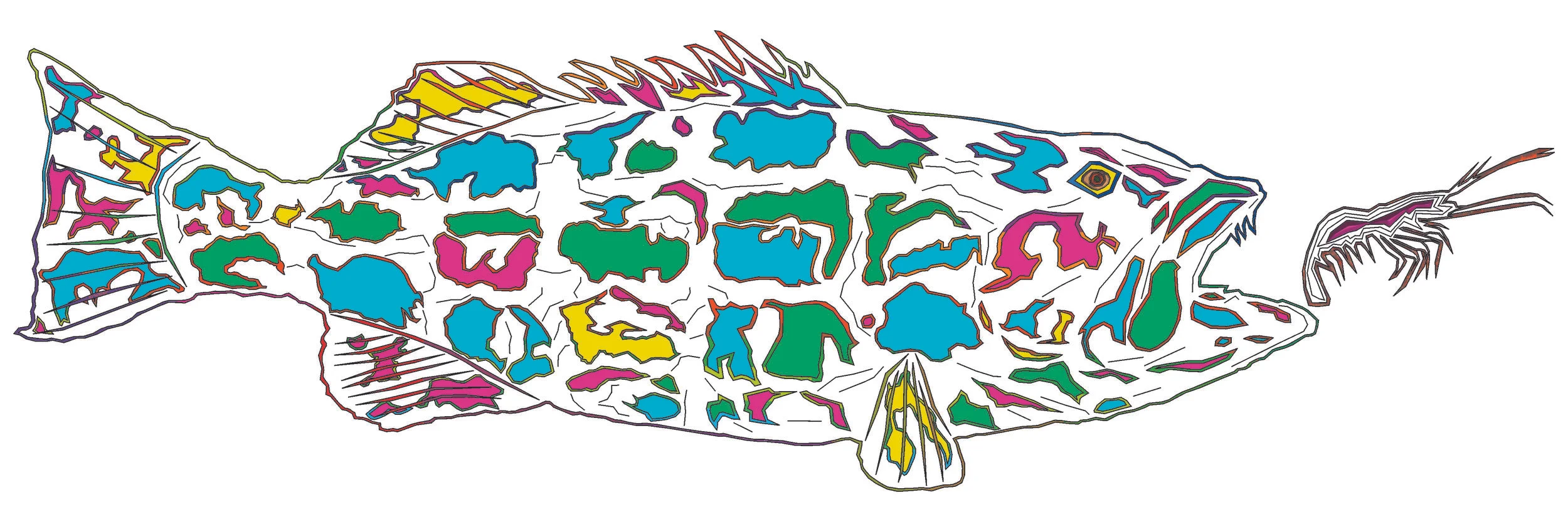 sea bass 132.jpg
