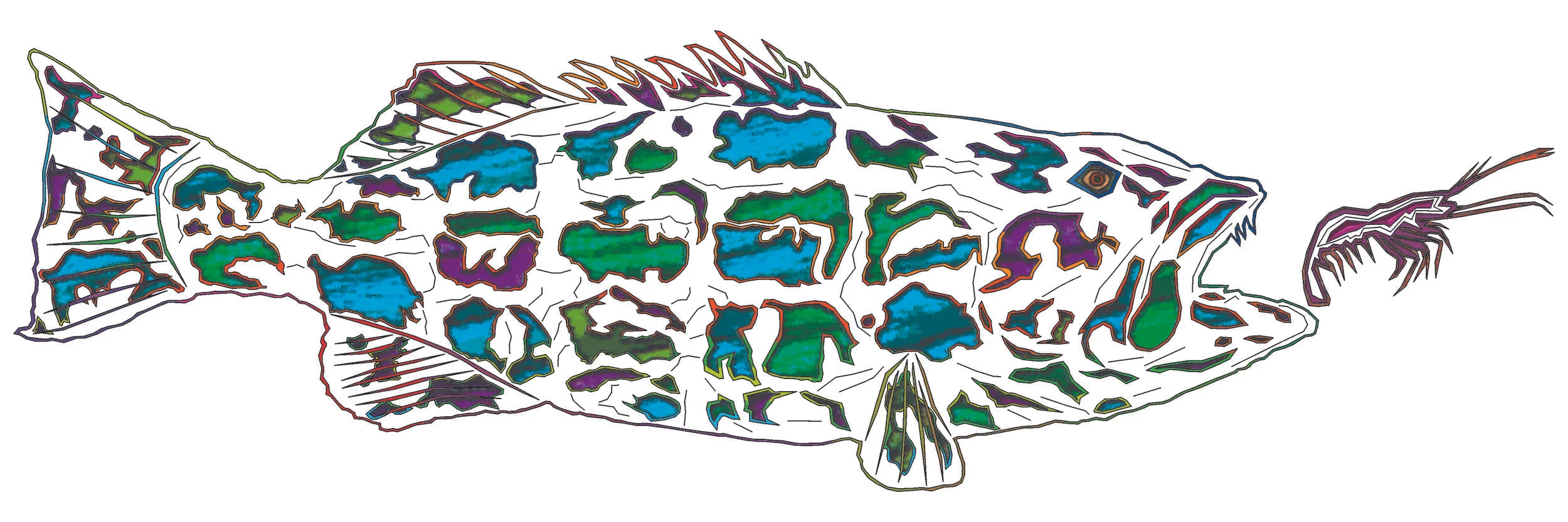 sea bass 134.jpg