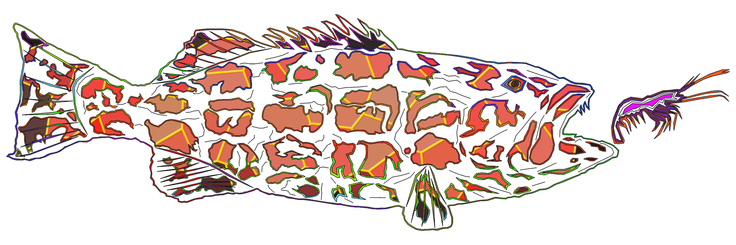 sea bass 139.jpg