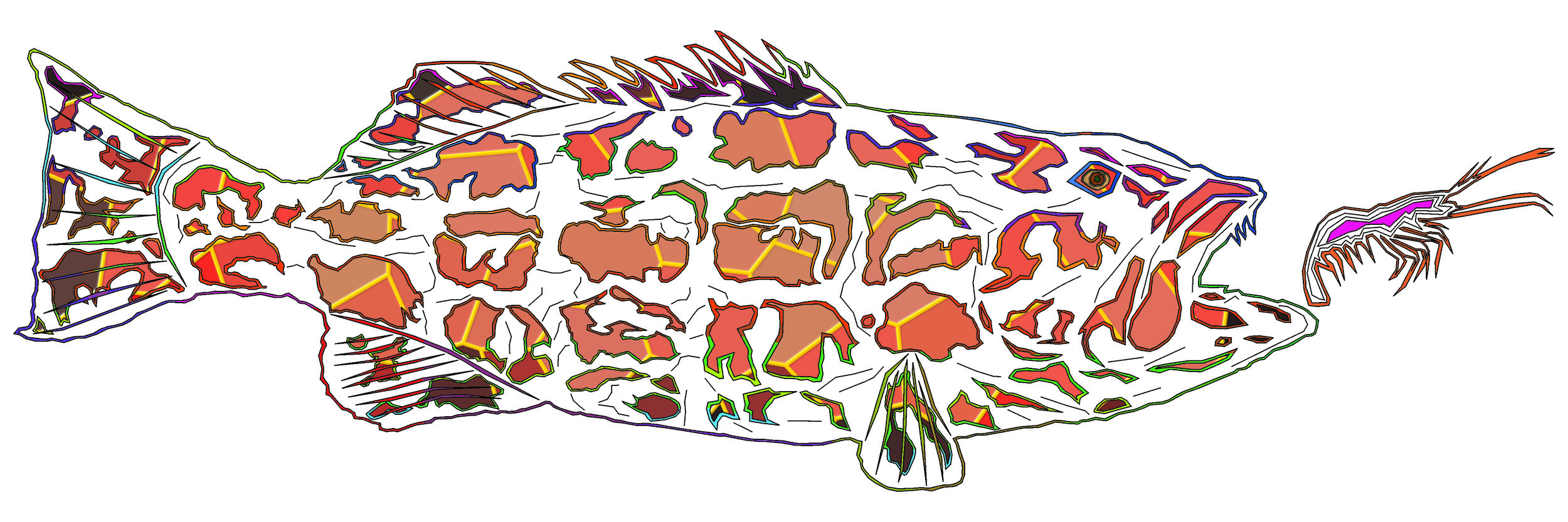 sea bass 142.jpg