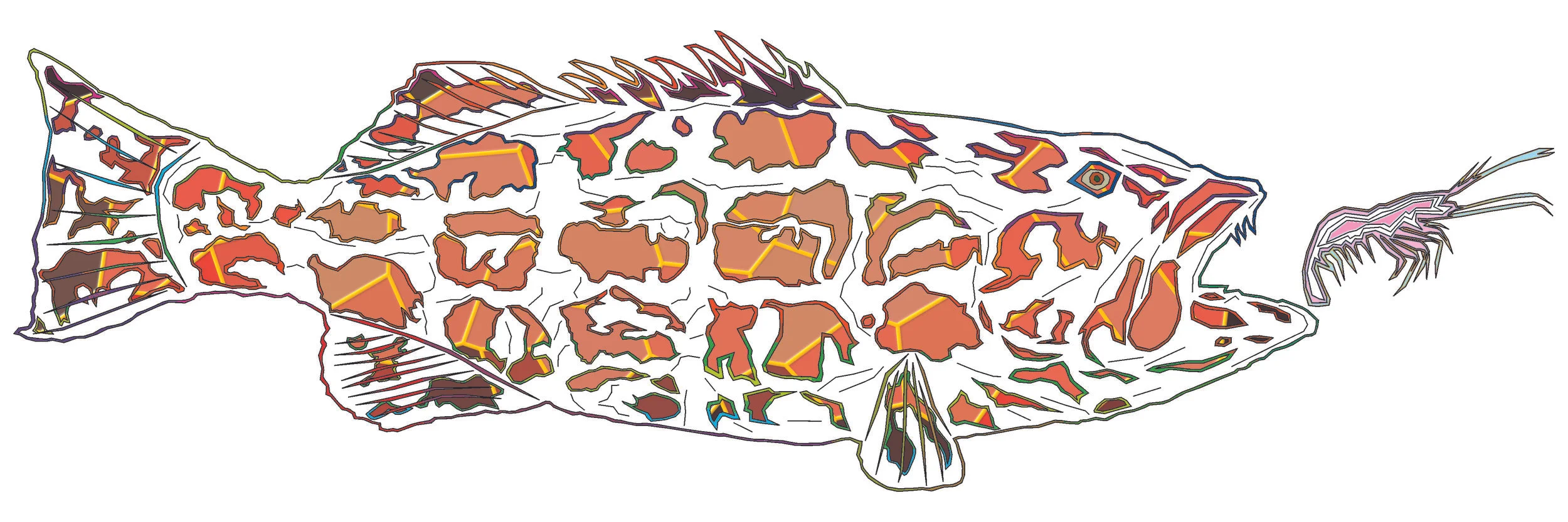 sea bass 143.jpg