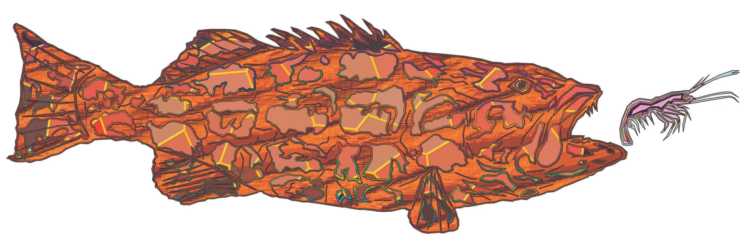 sea bass 145.jpg