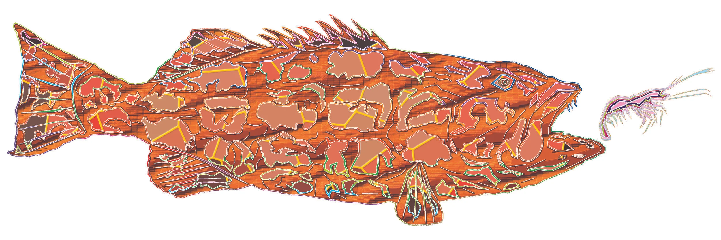 sea bass 152.jpg