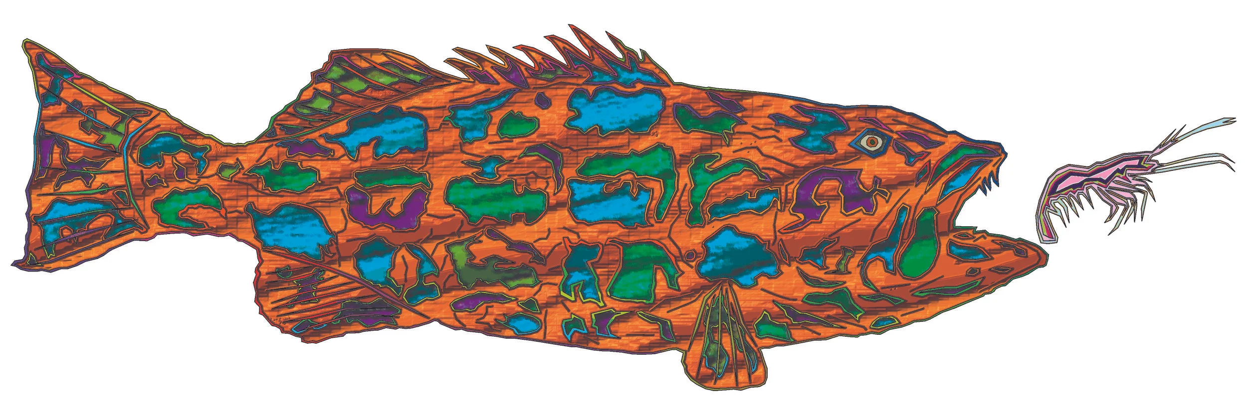 sea bass 203.jpg