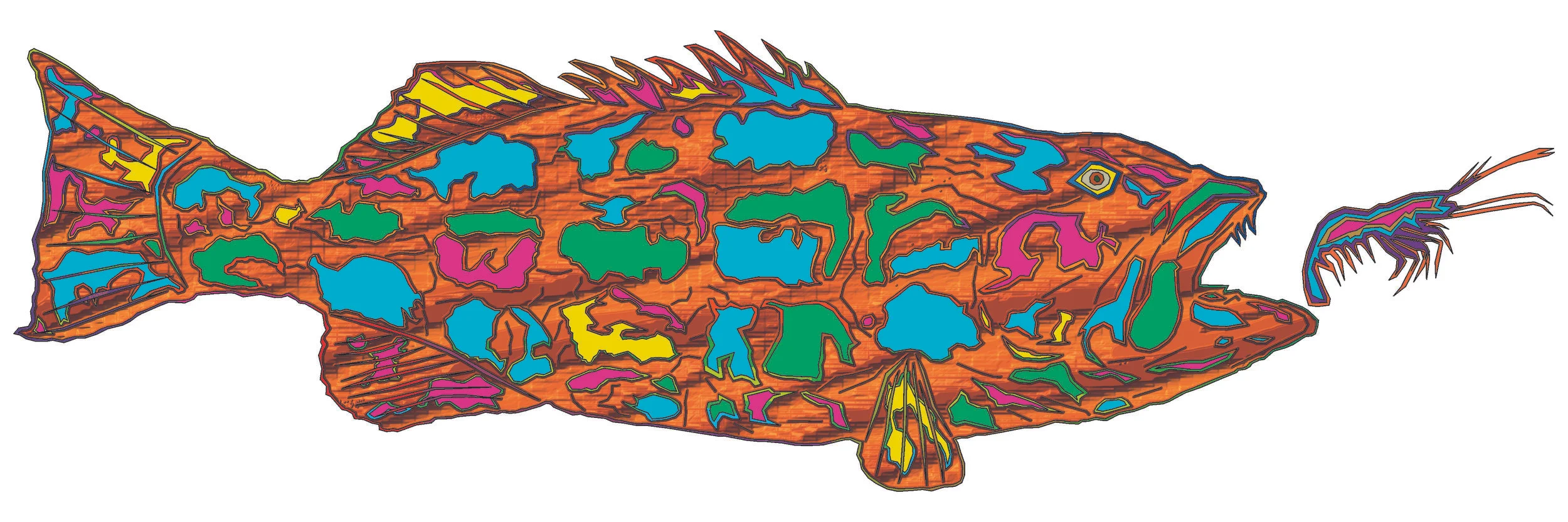 sea bass 205.jpg