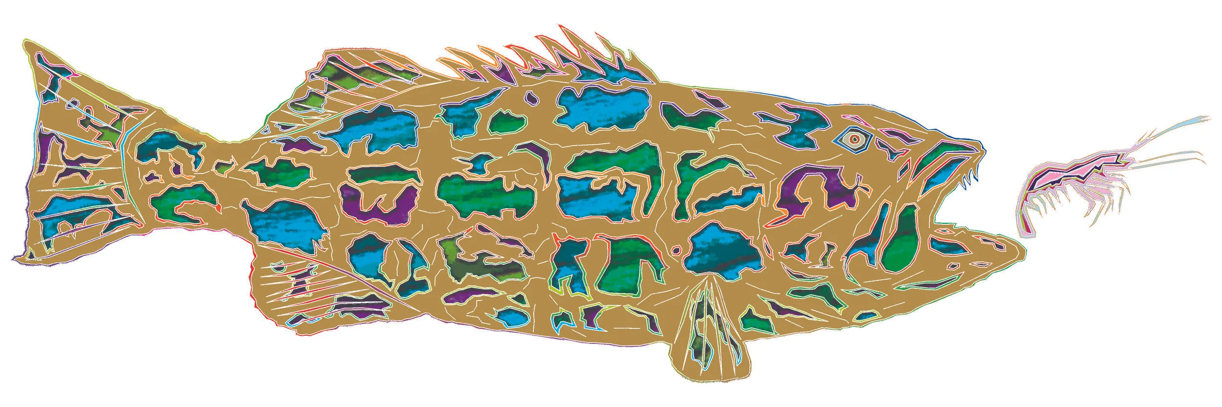 sea bass 208.jpg