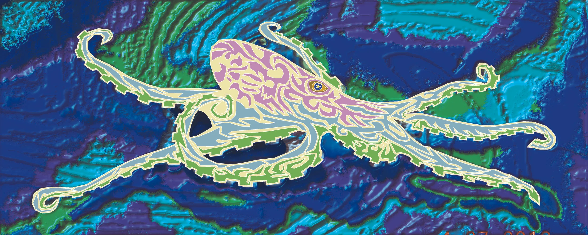 octo 44.jpg