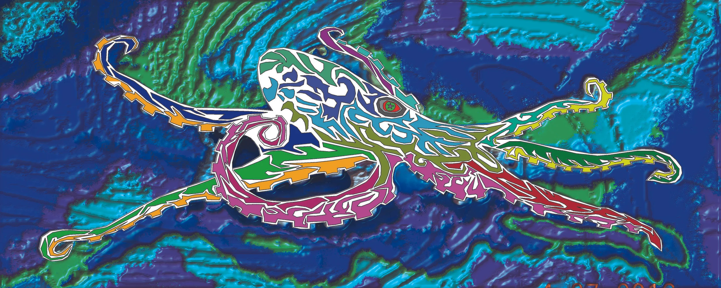 octo 45.jpg