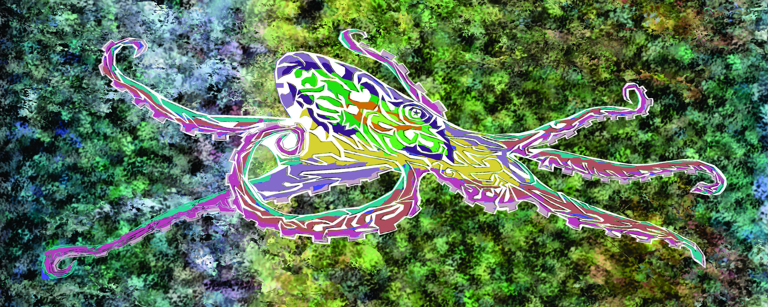 octo 53.jpg