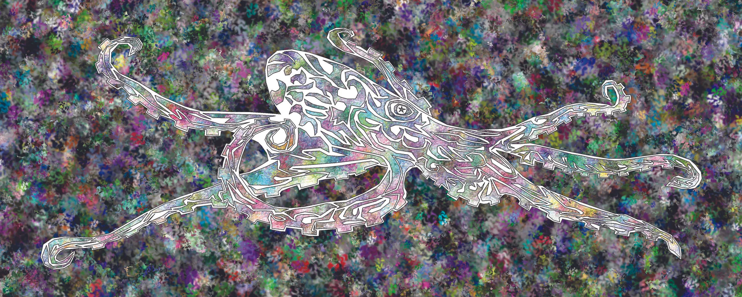 octo113.jpg