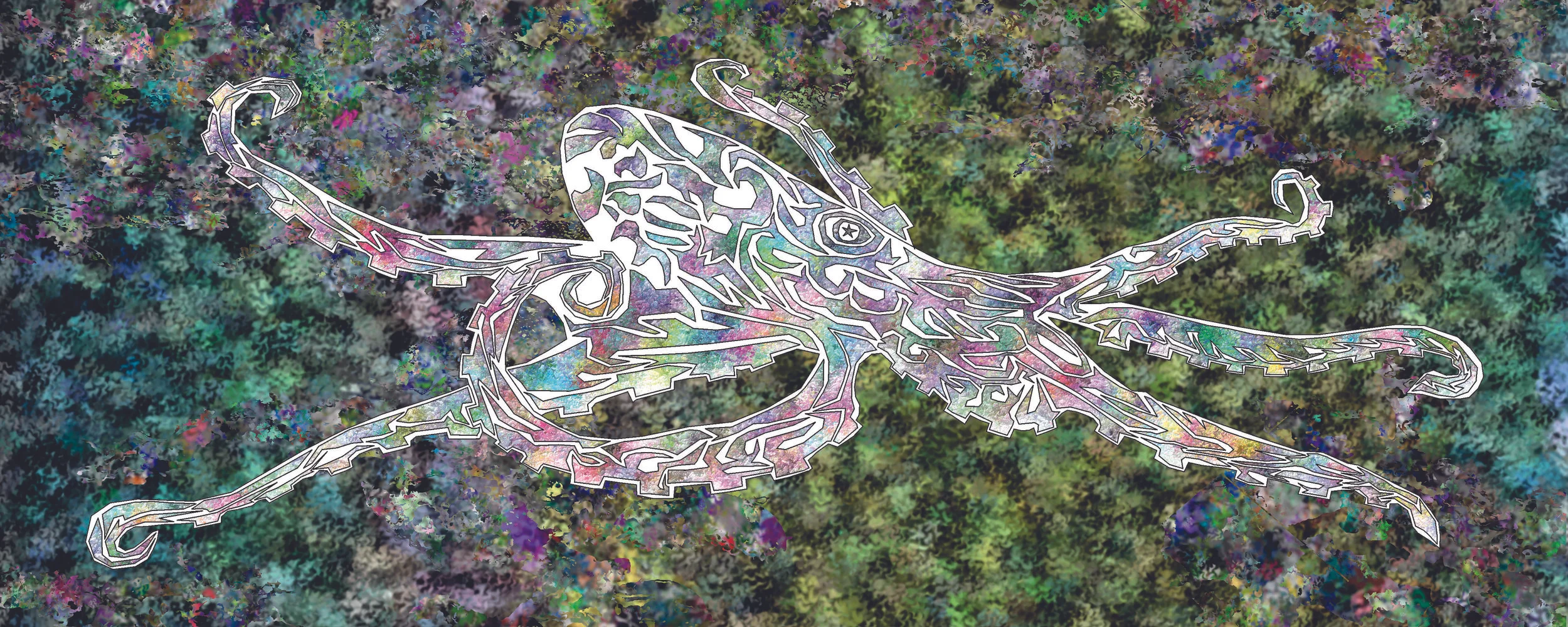 octo114.jpg