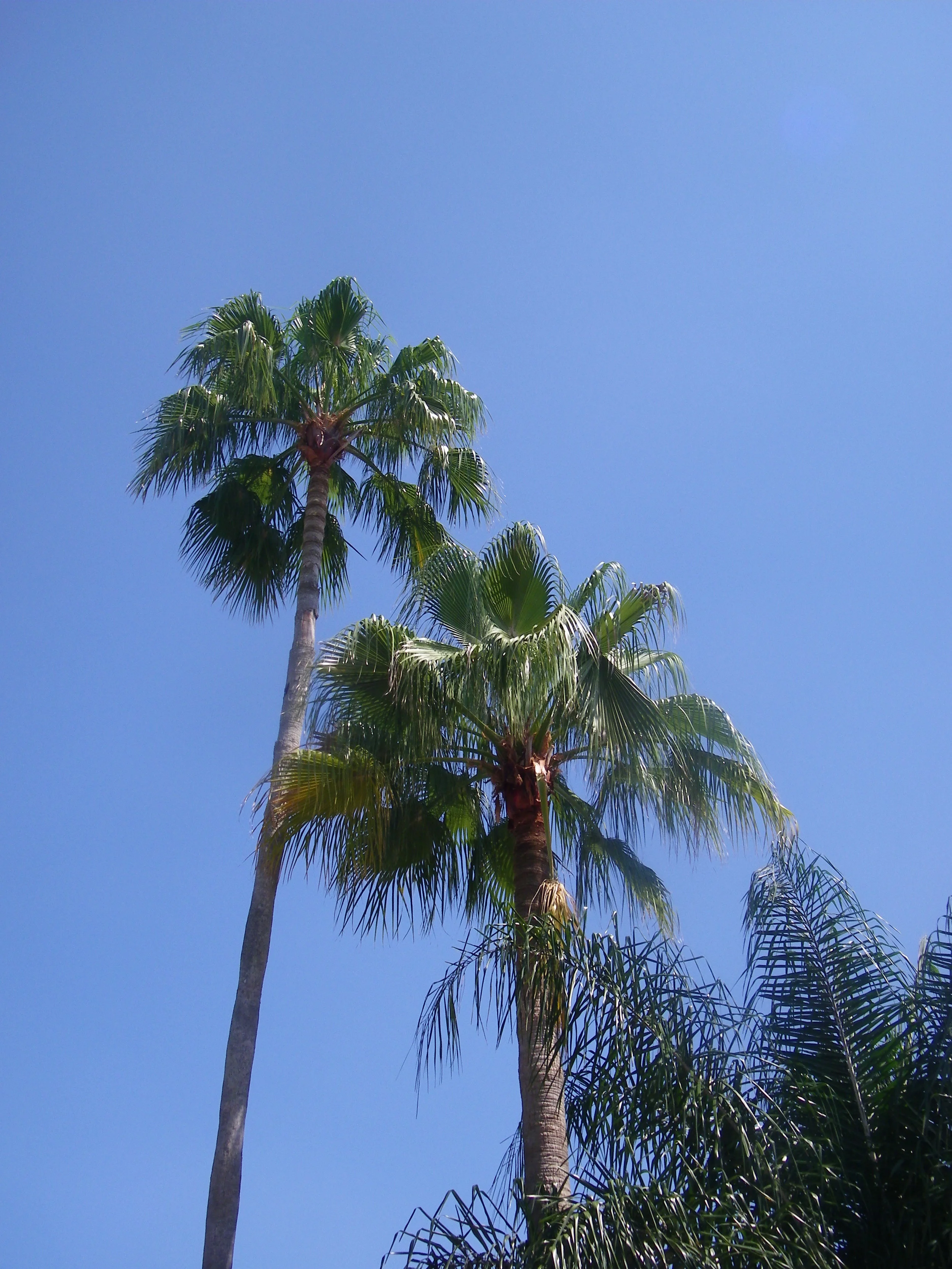 100_5675.JPG