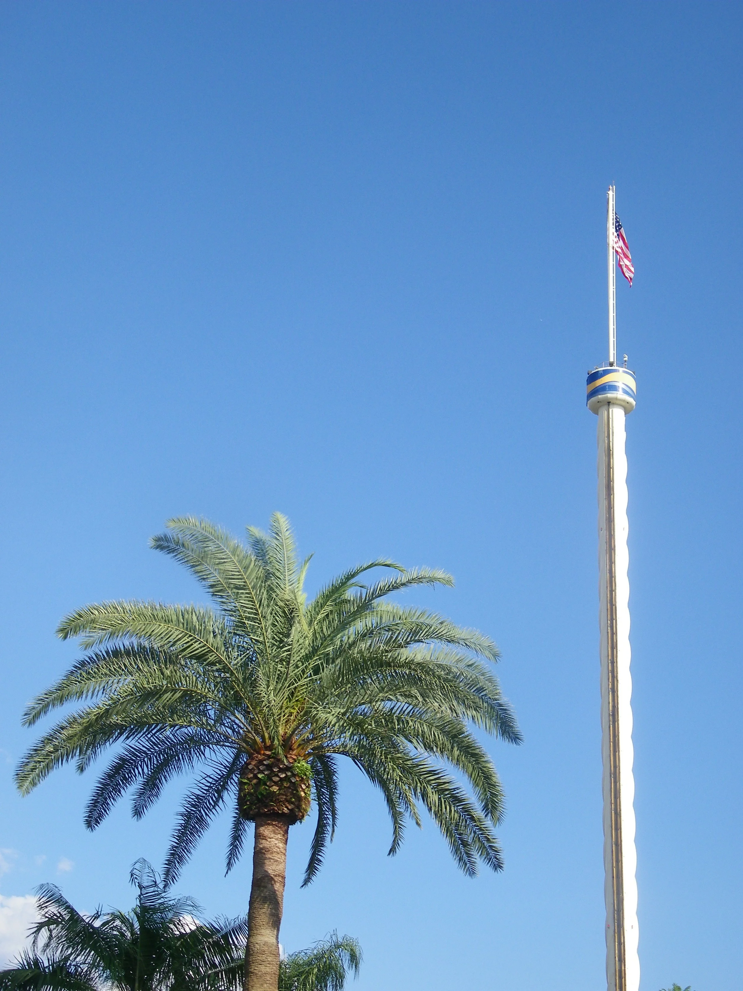 100_5952.JPG