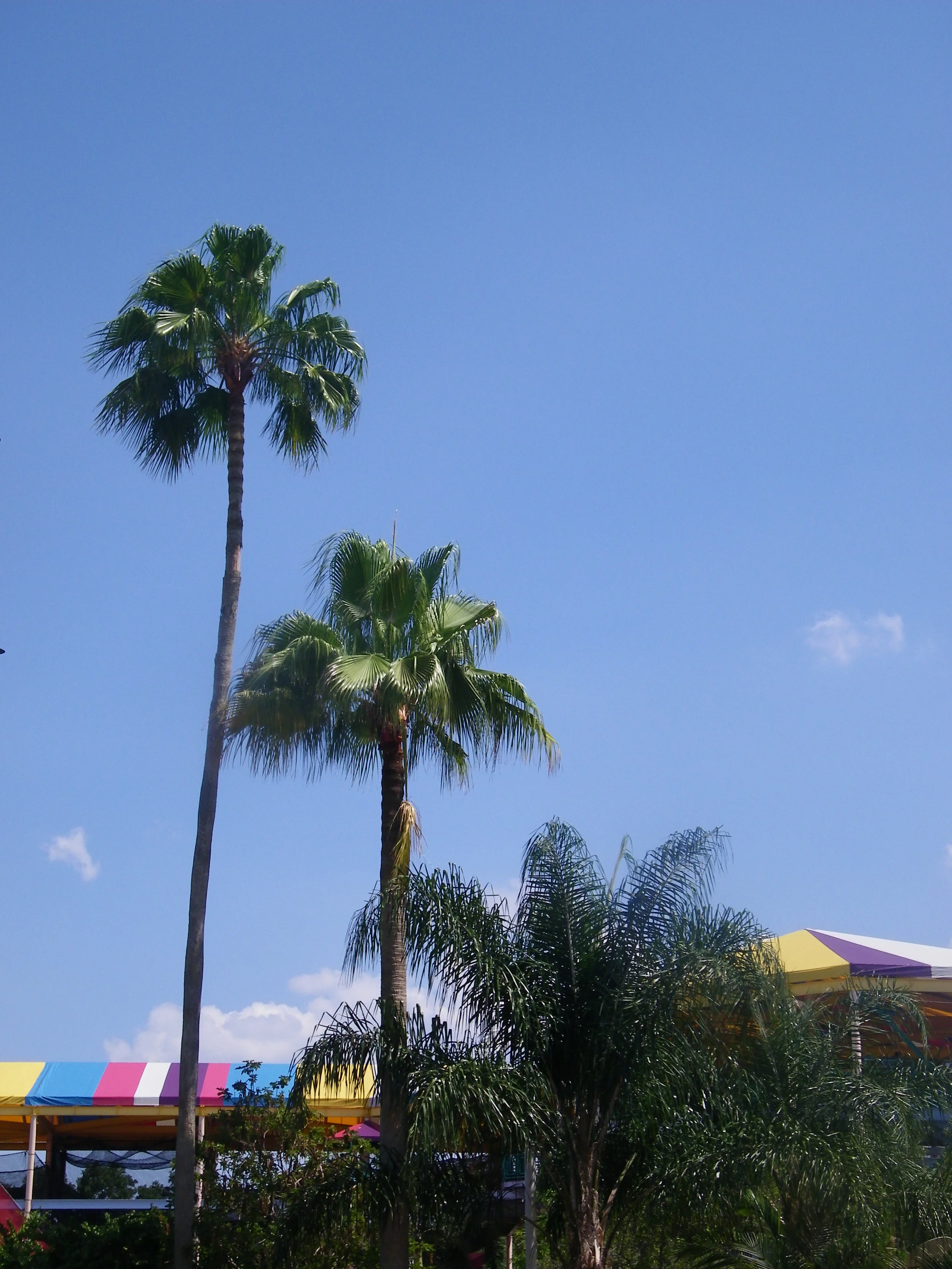 100_5670.JPG