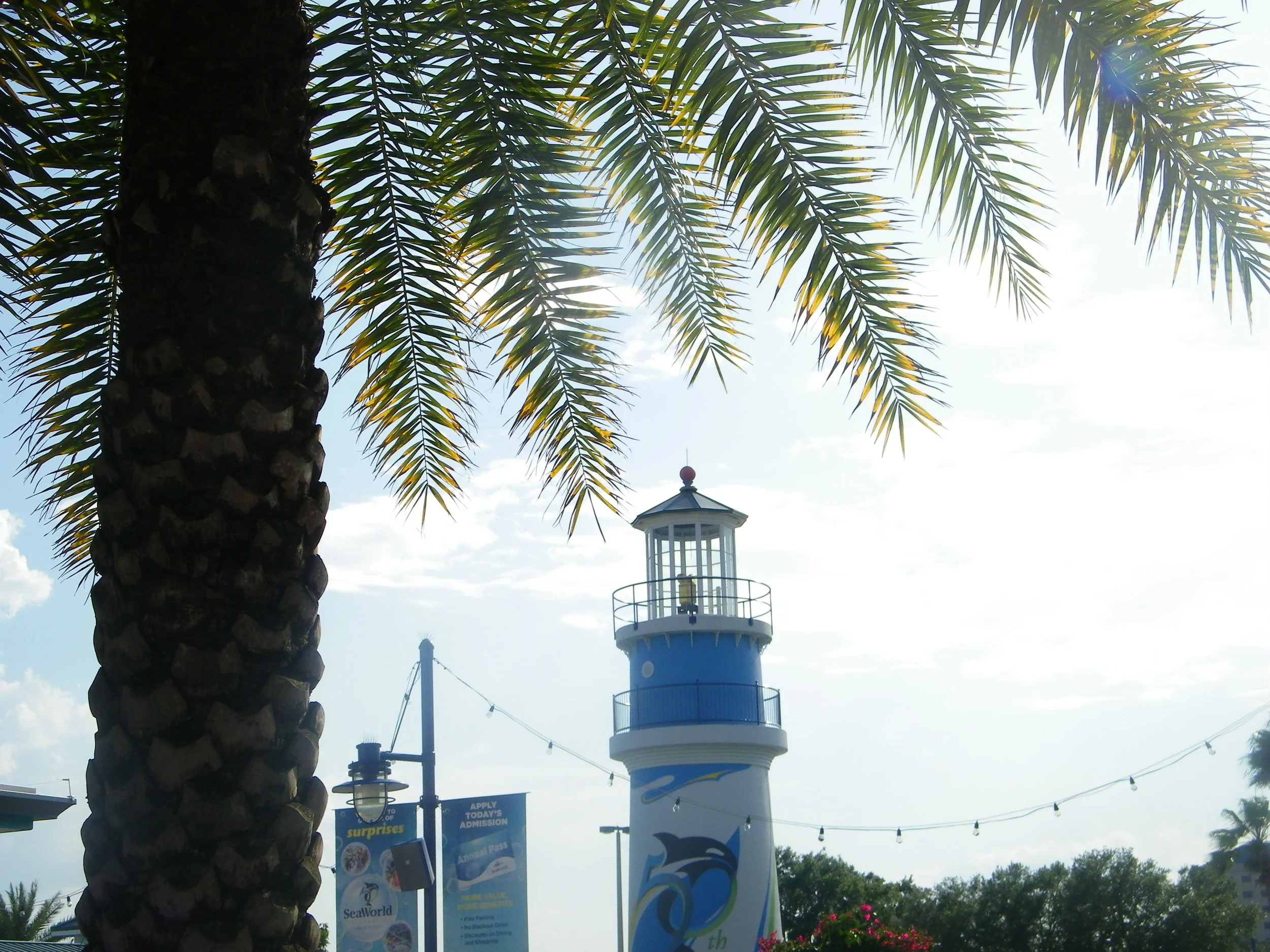 100_5961.JPG