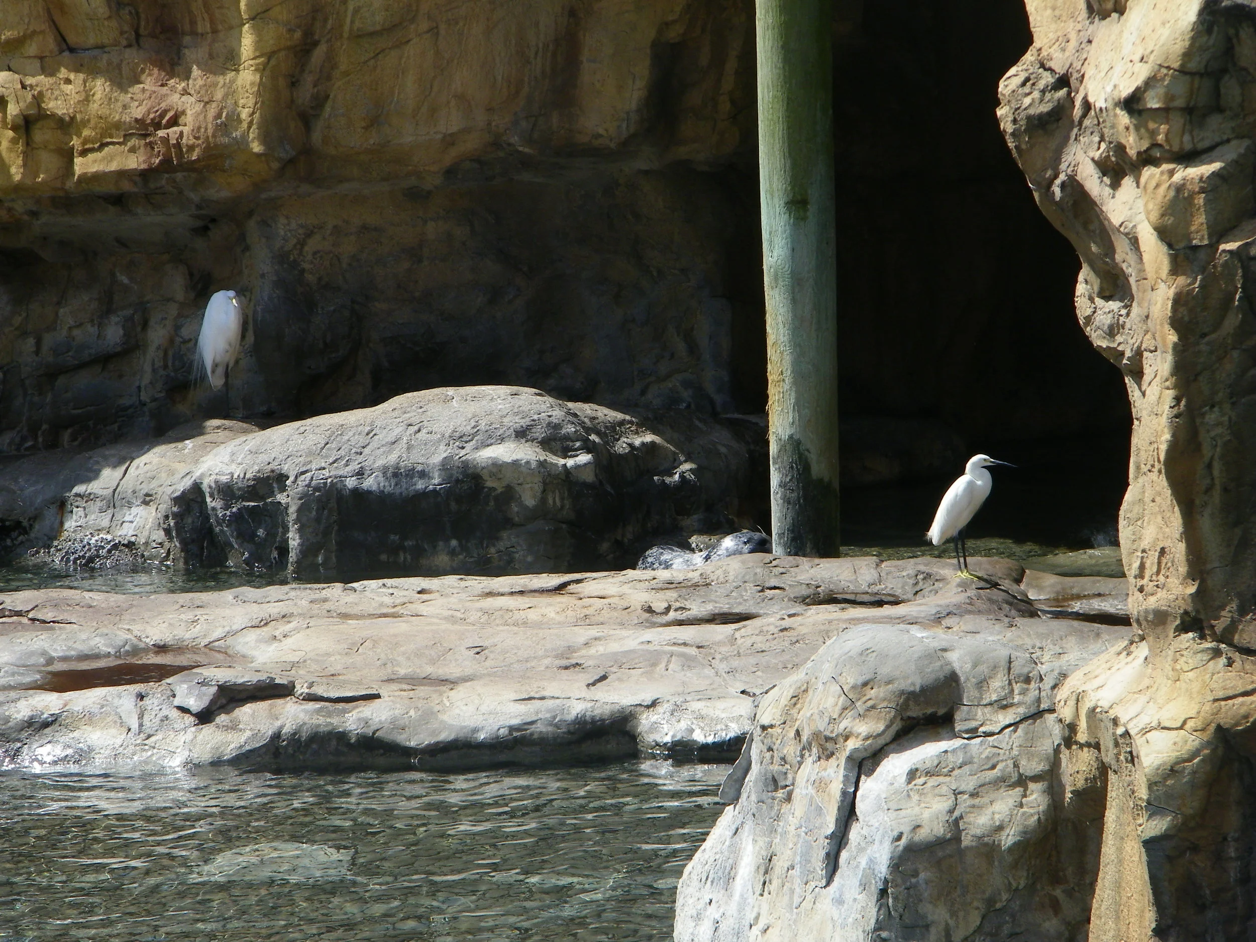 100_6134.JPG