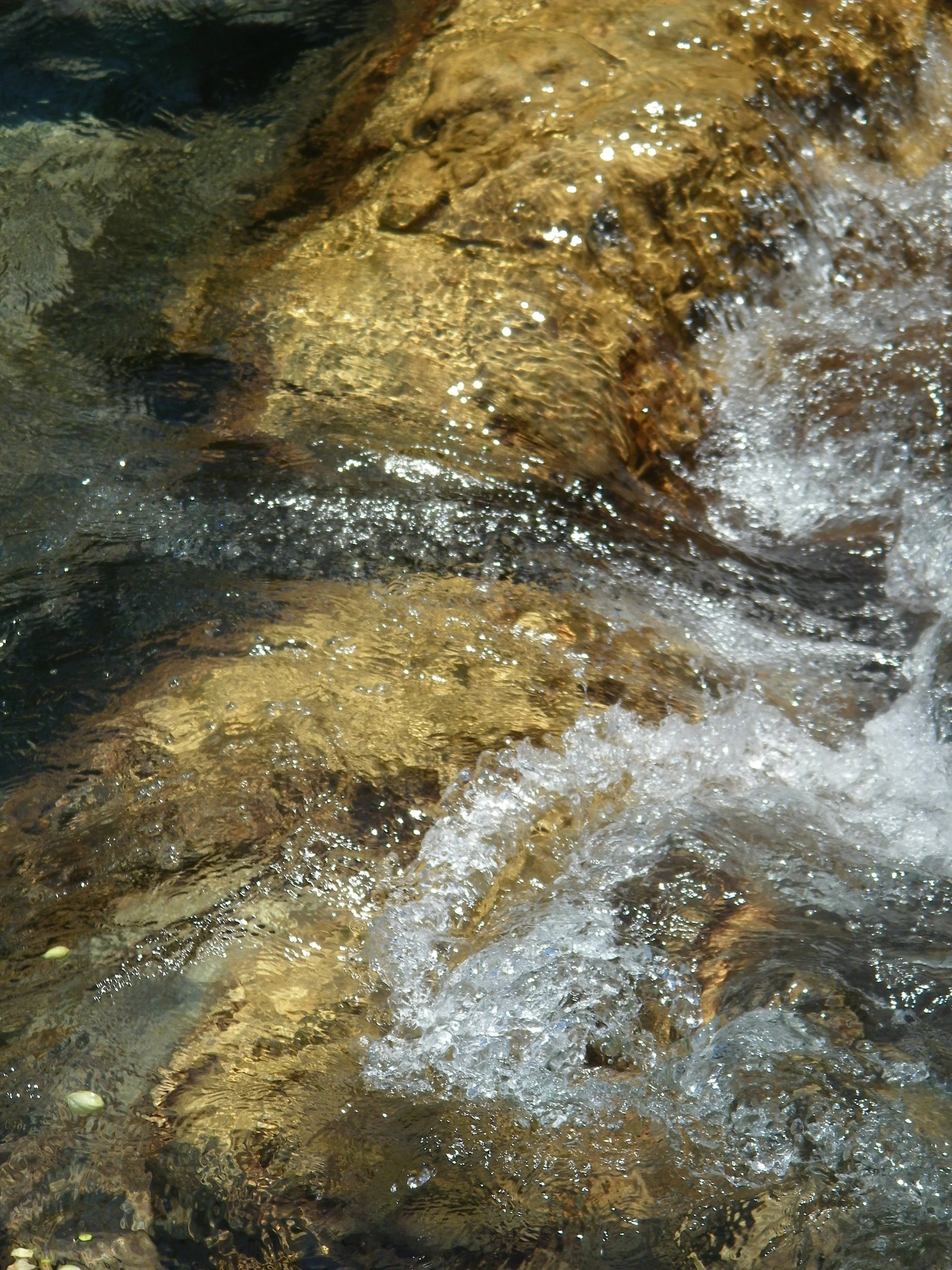 100_6284.JPG
