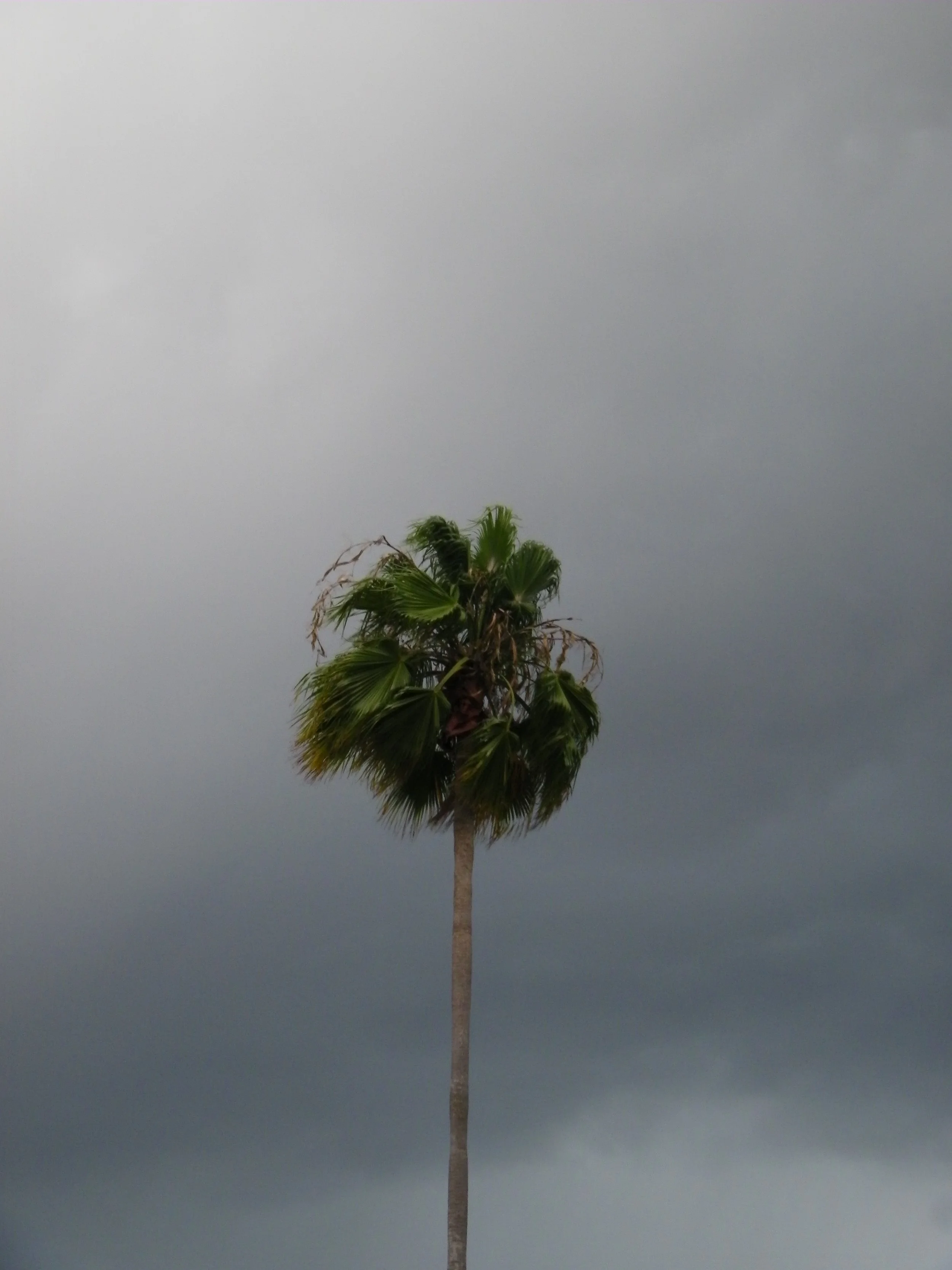100_6541.JPG