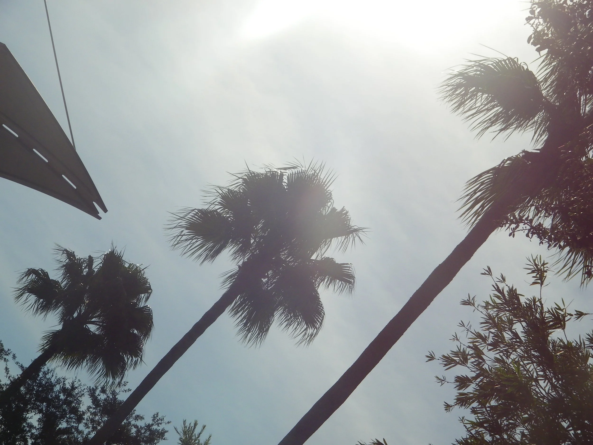 100_0330.JPG