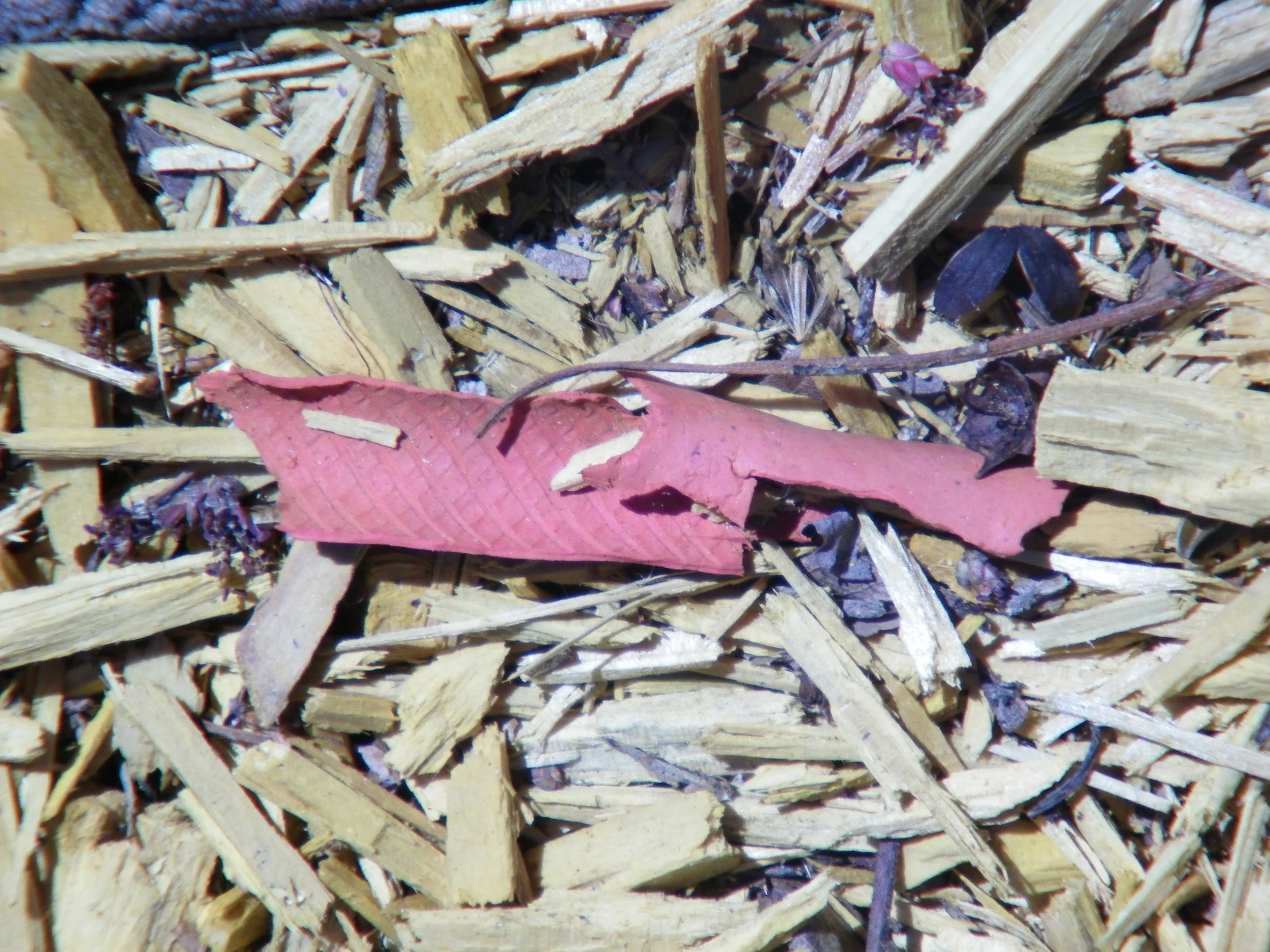 100_0145.JPG