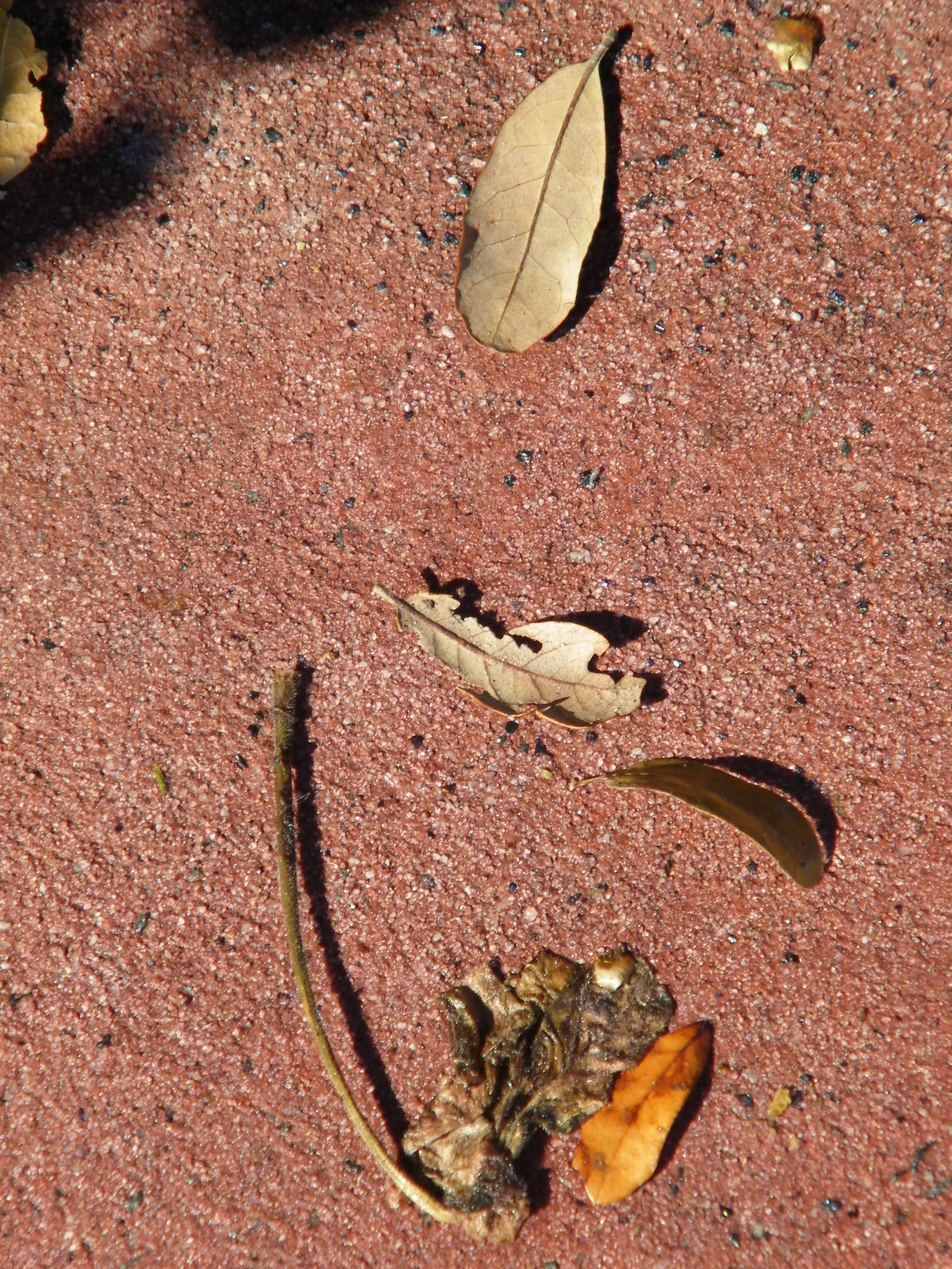 100_0027.JPG