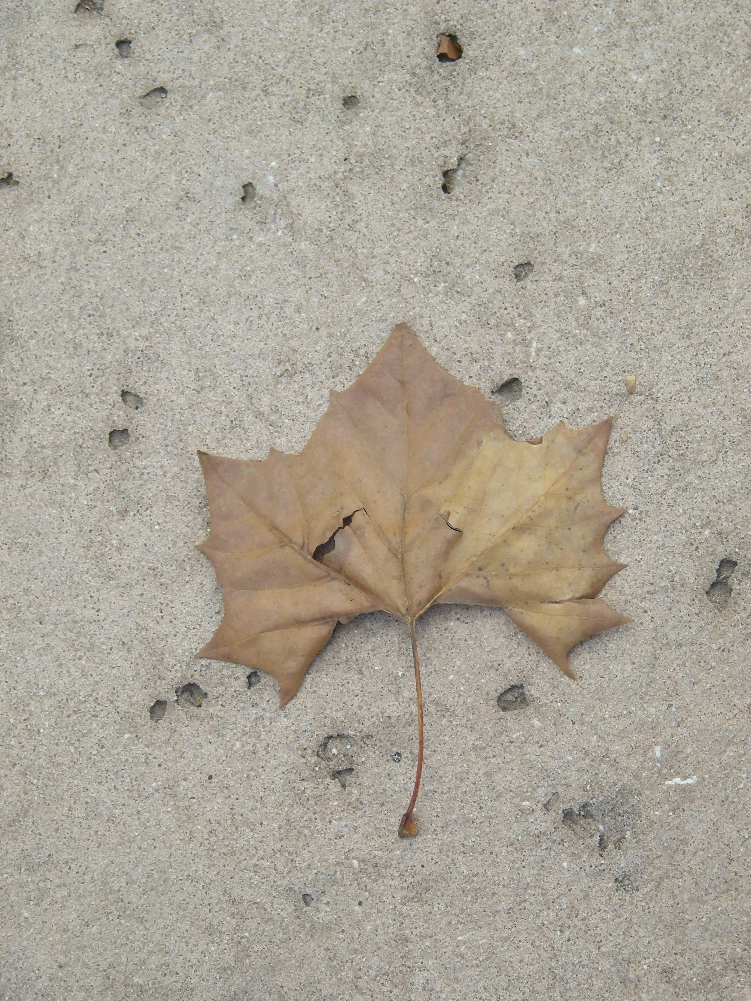 100_0172.JPG