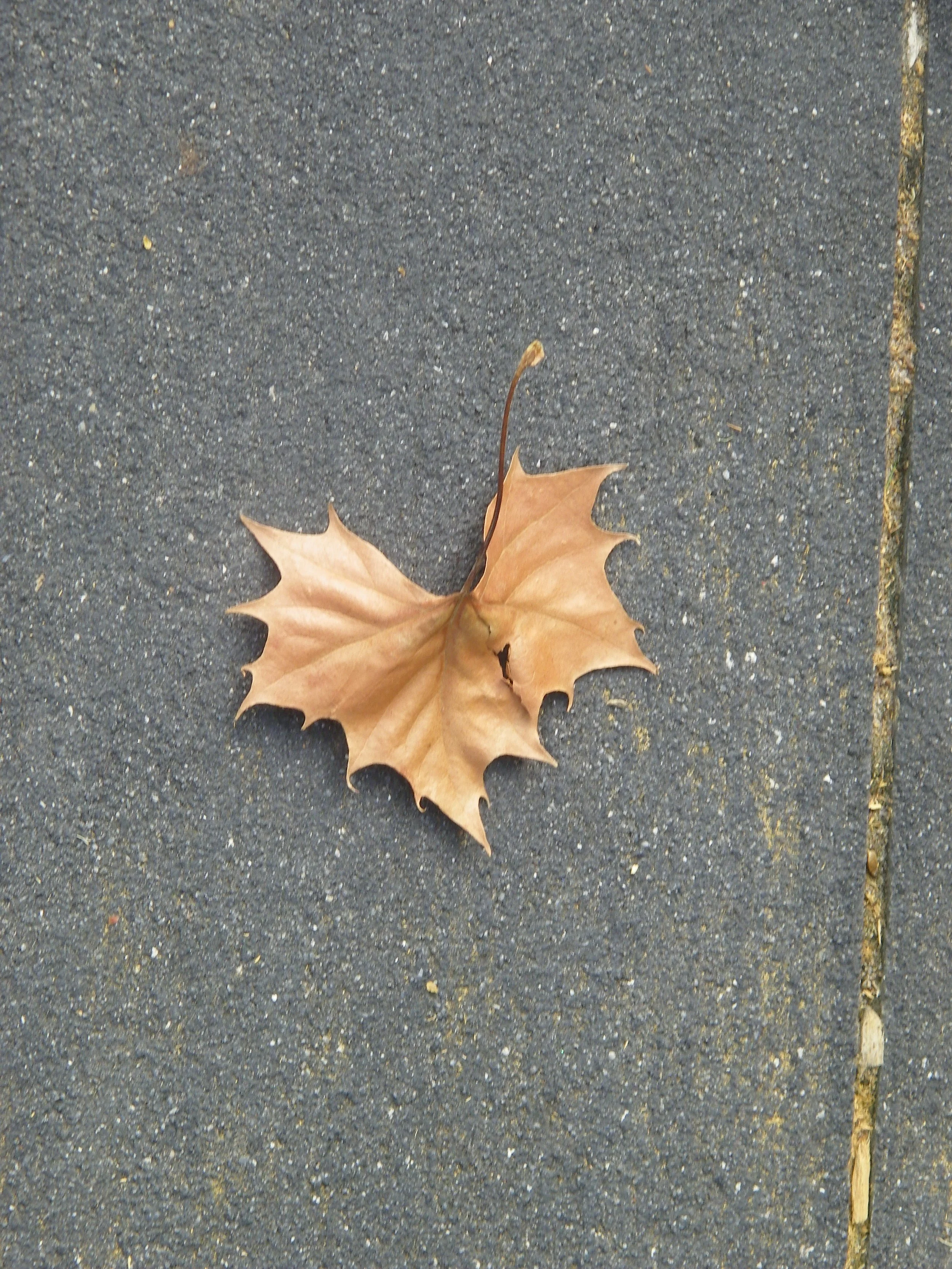 100_0163.JPG