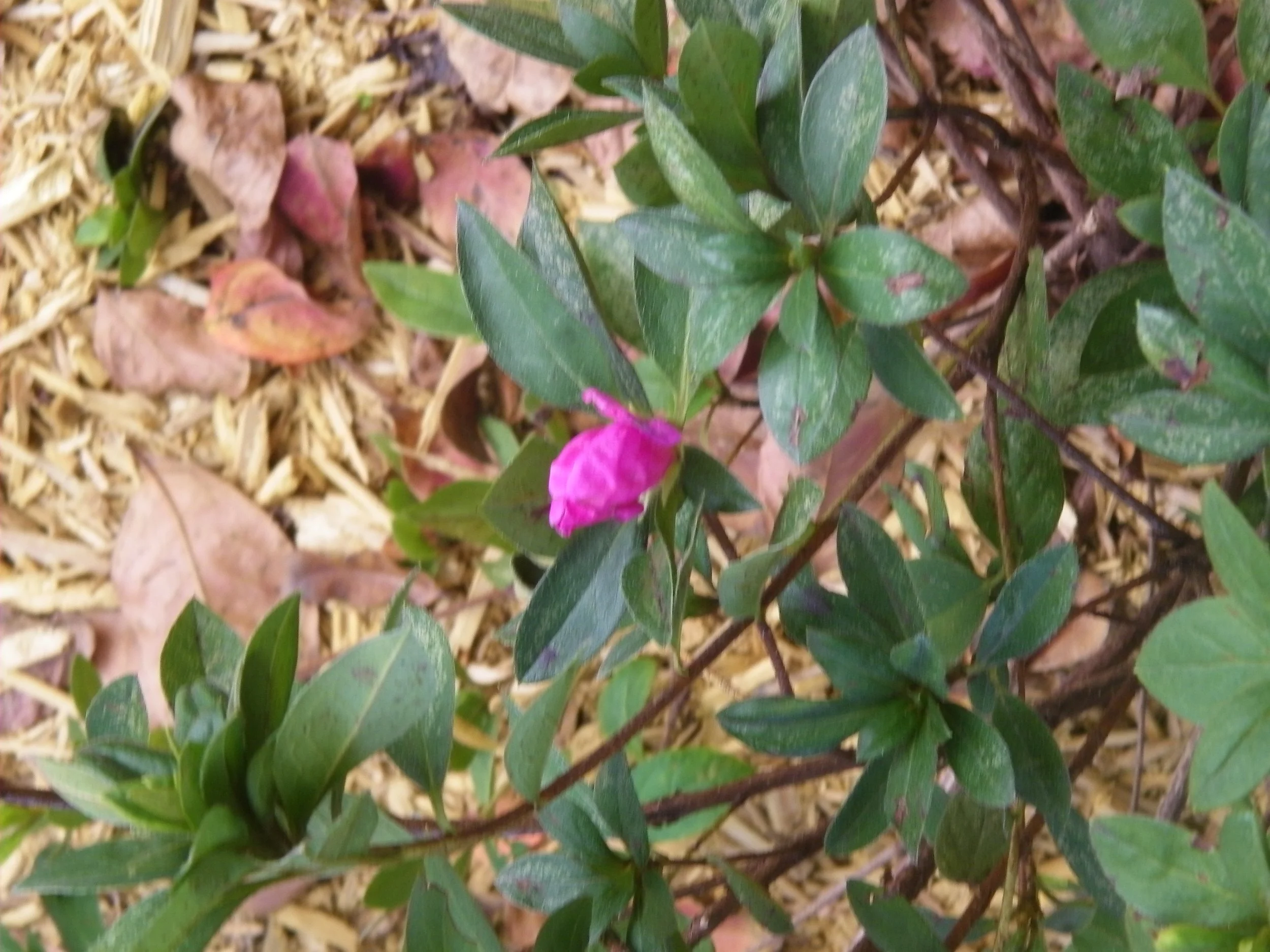 100_0161.JPG