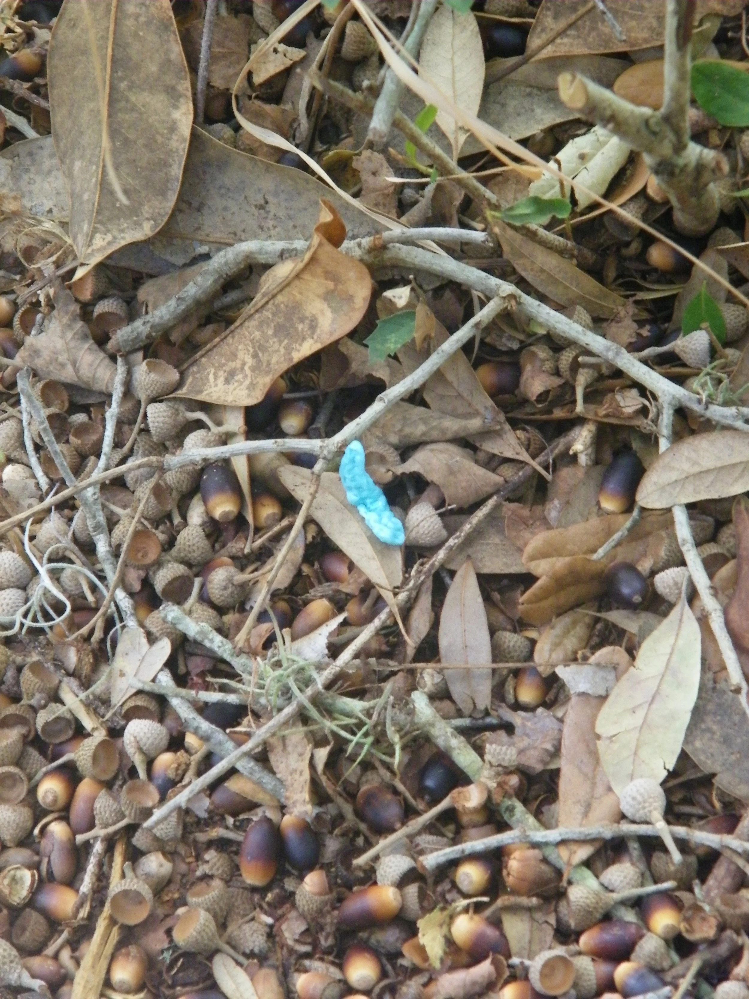 100_0147.JPG