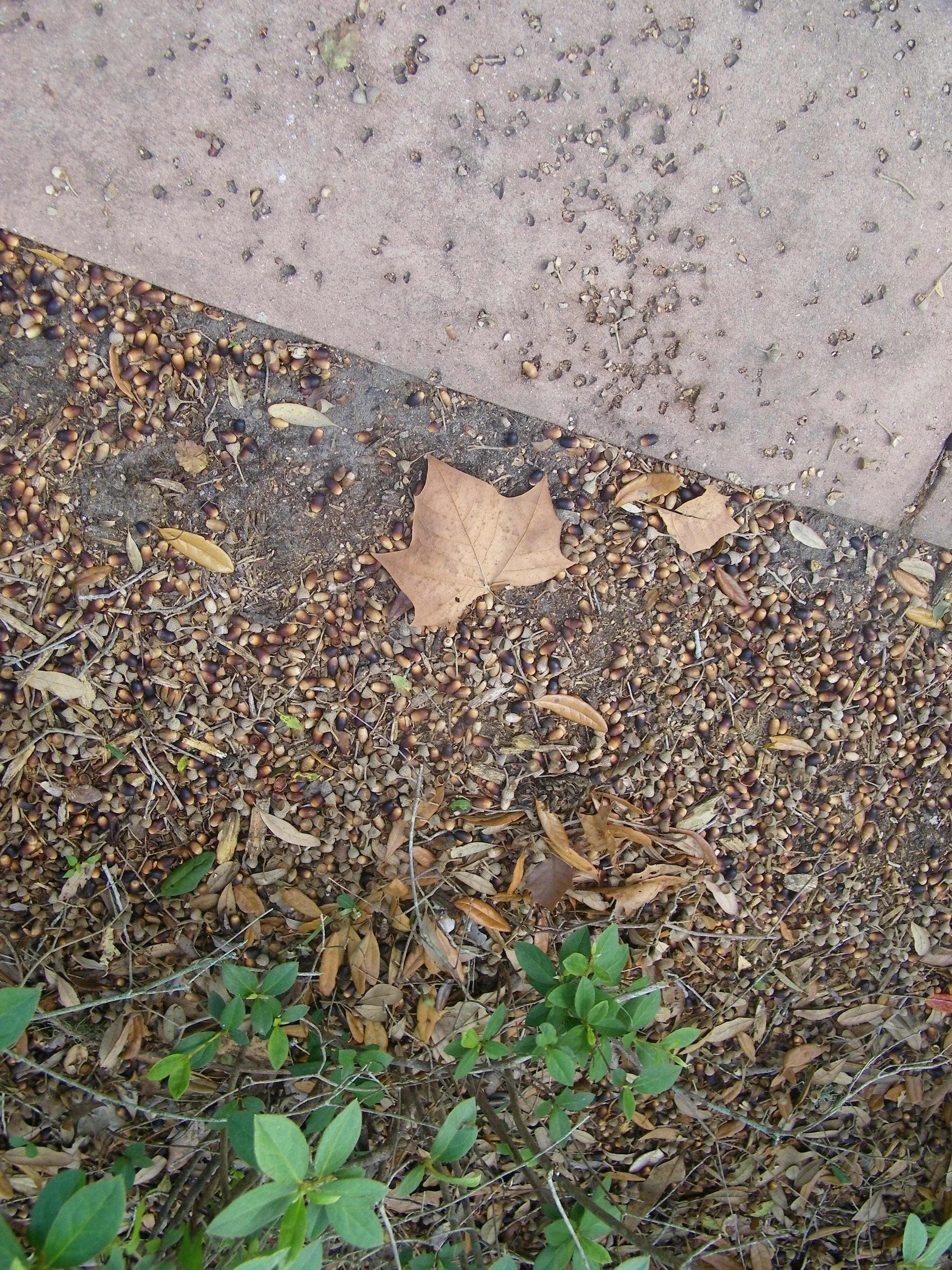 100_0141.JPG