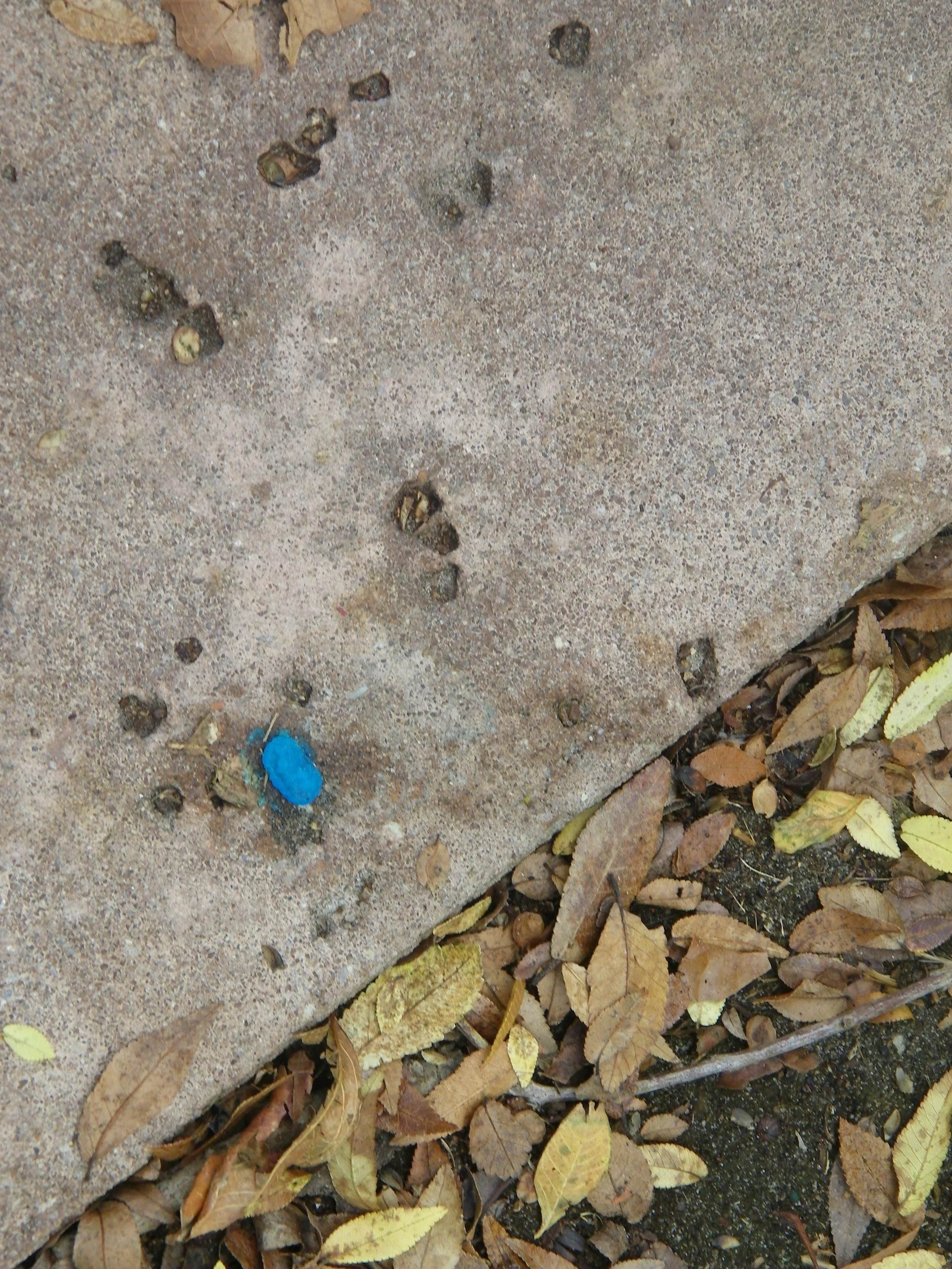 100_0137.JPG