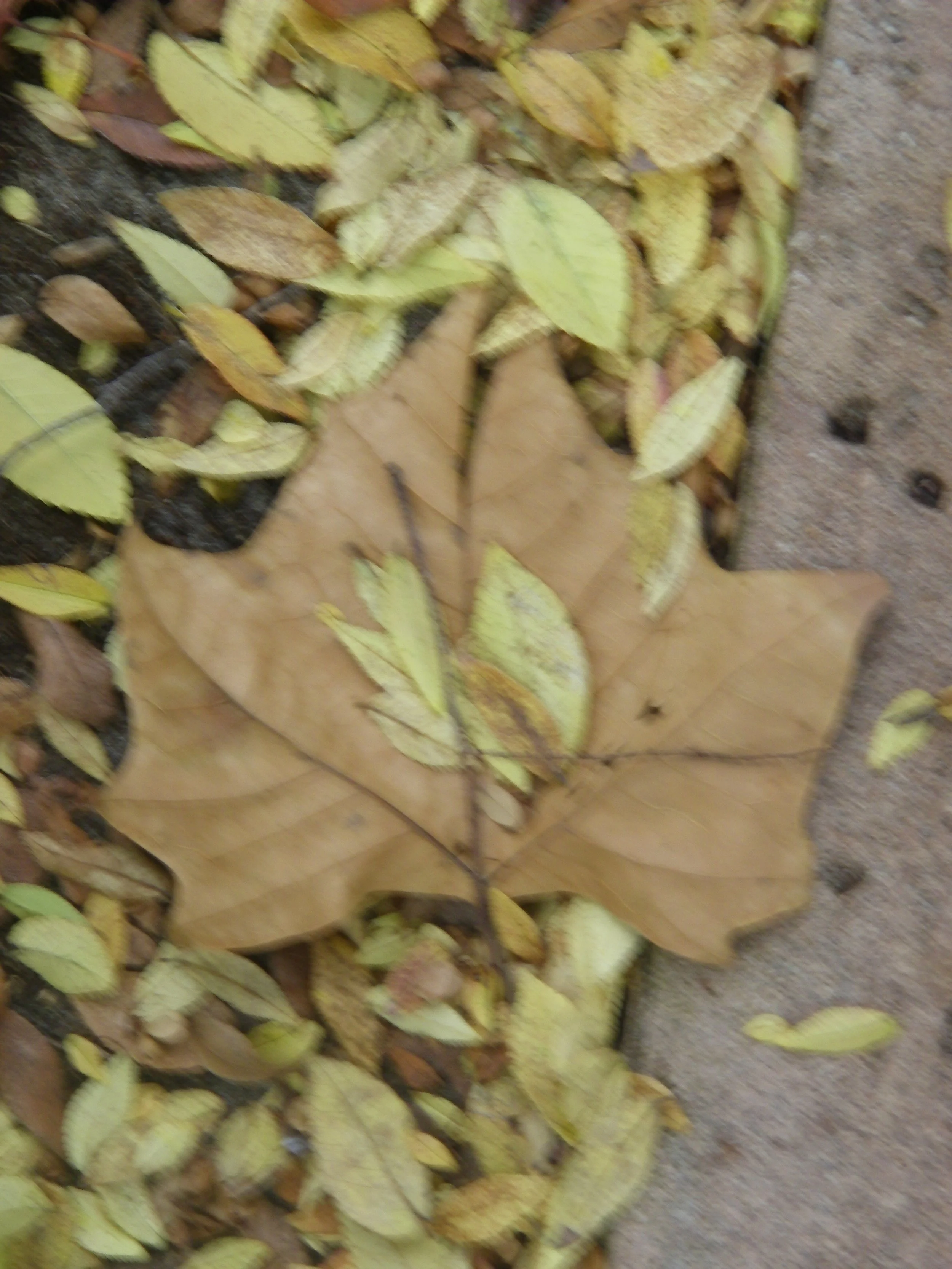100_0134.JPG