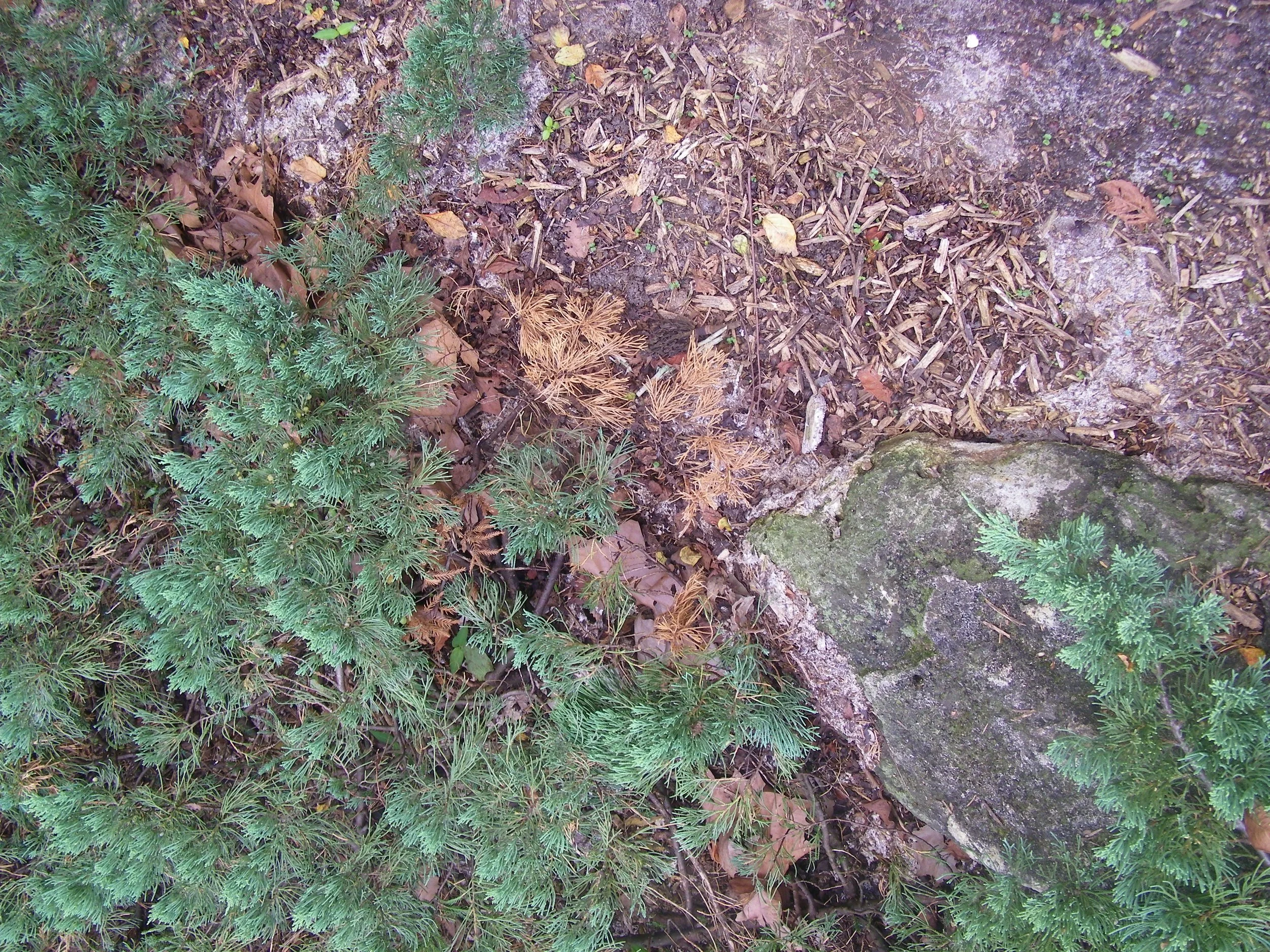 100_0124.JPG