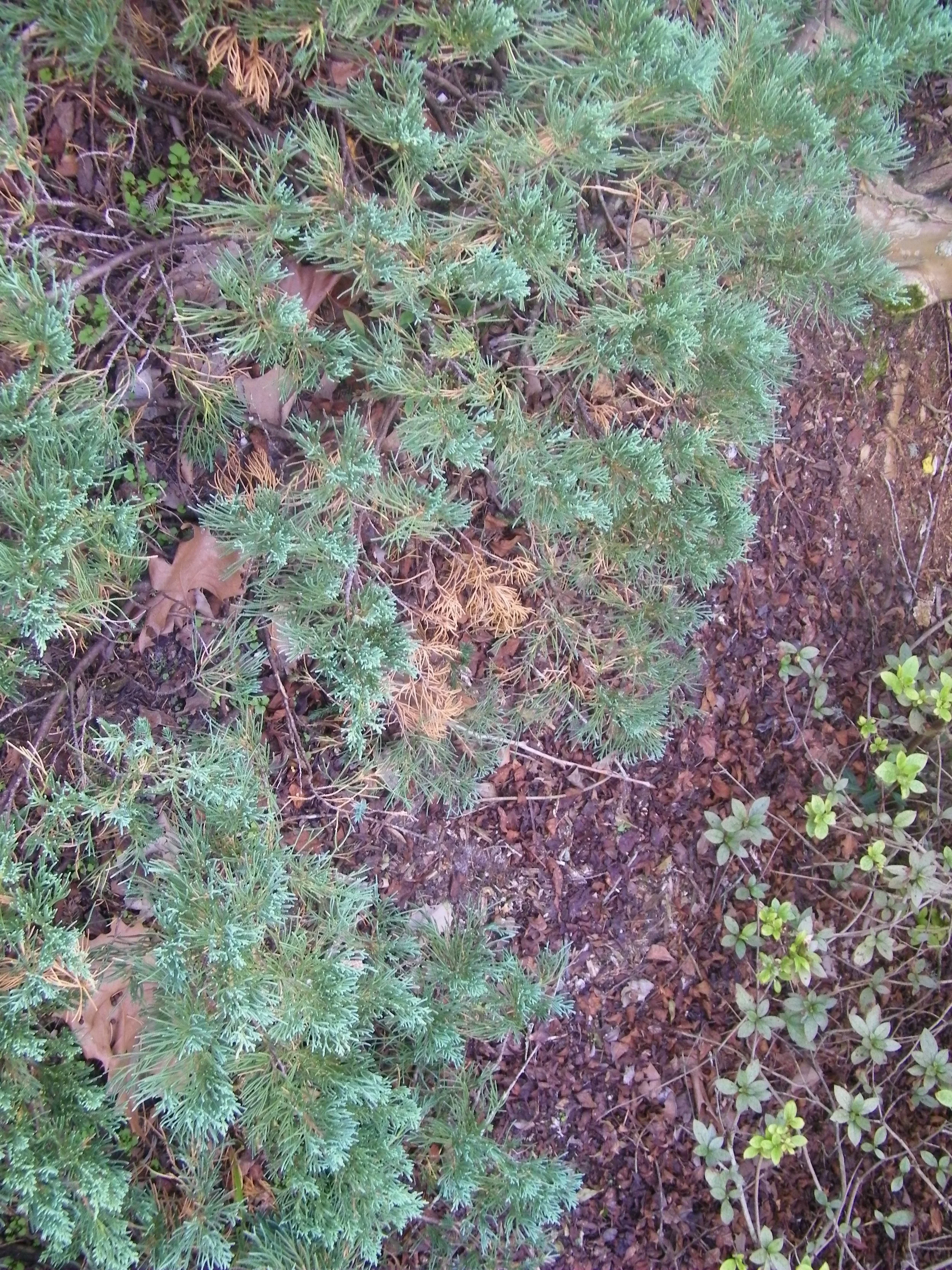 100_0123.JPG