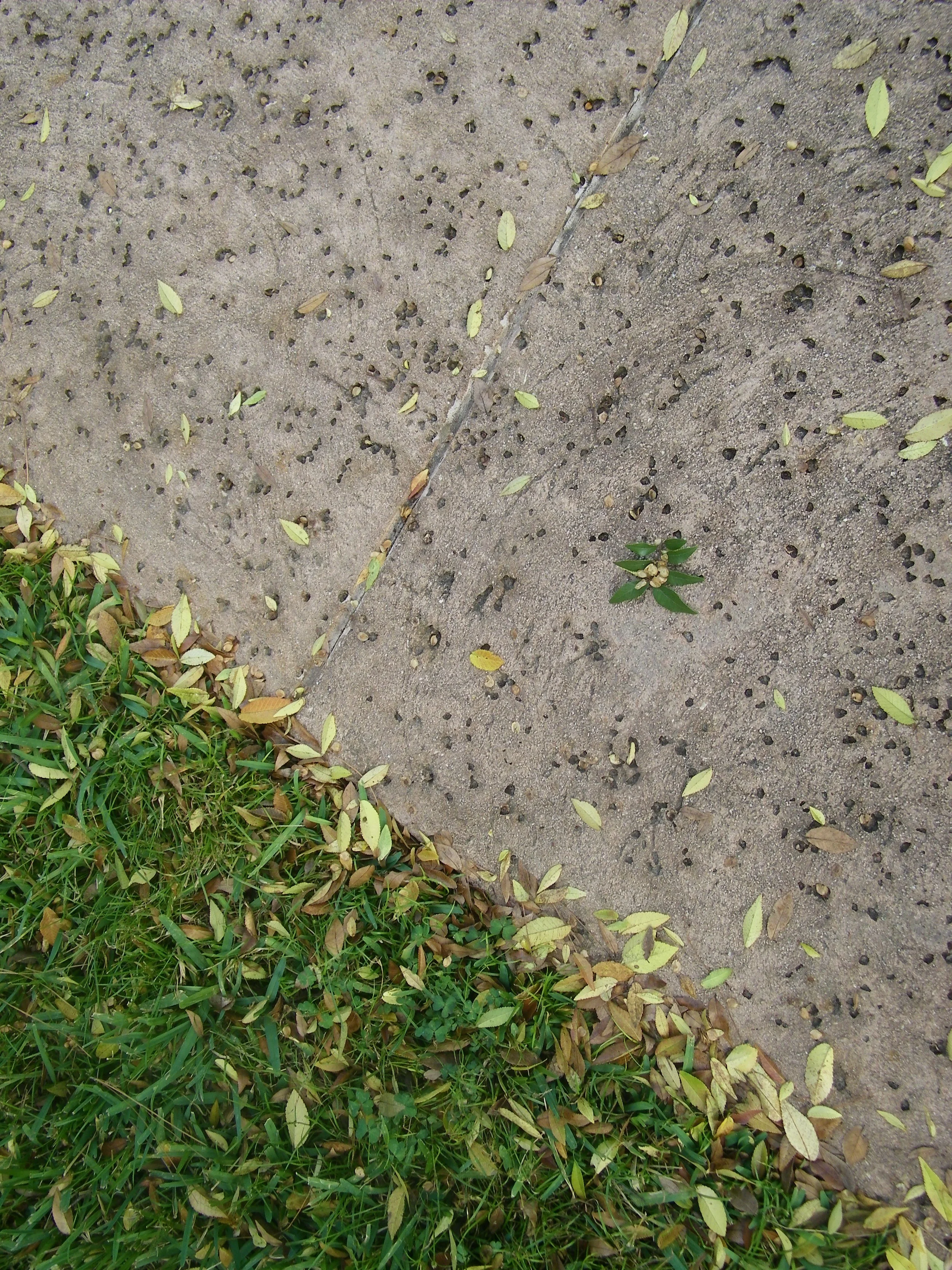 100_0110.JPG