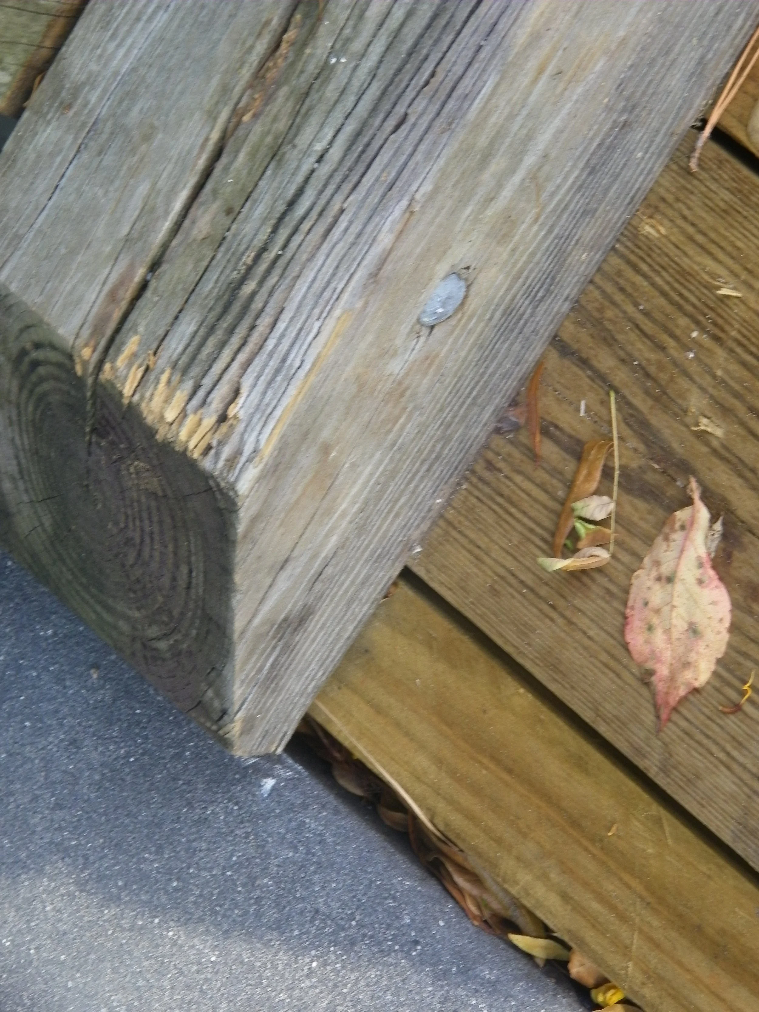 100_0076.JPG