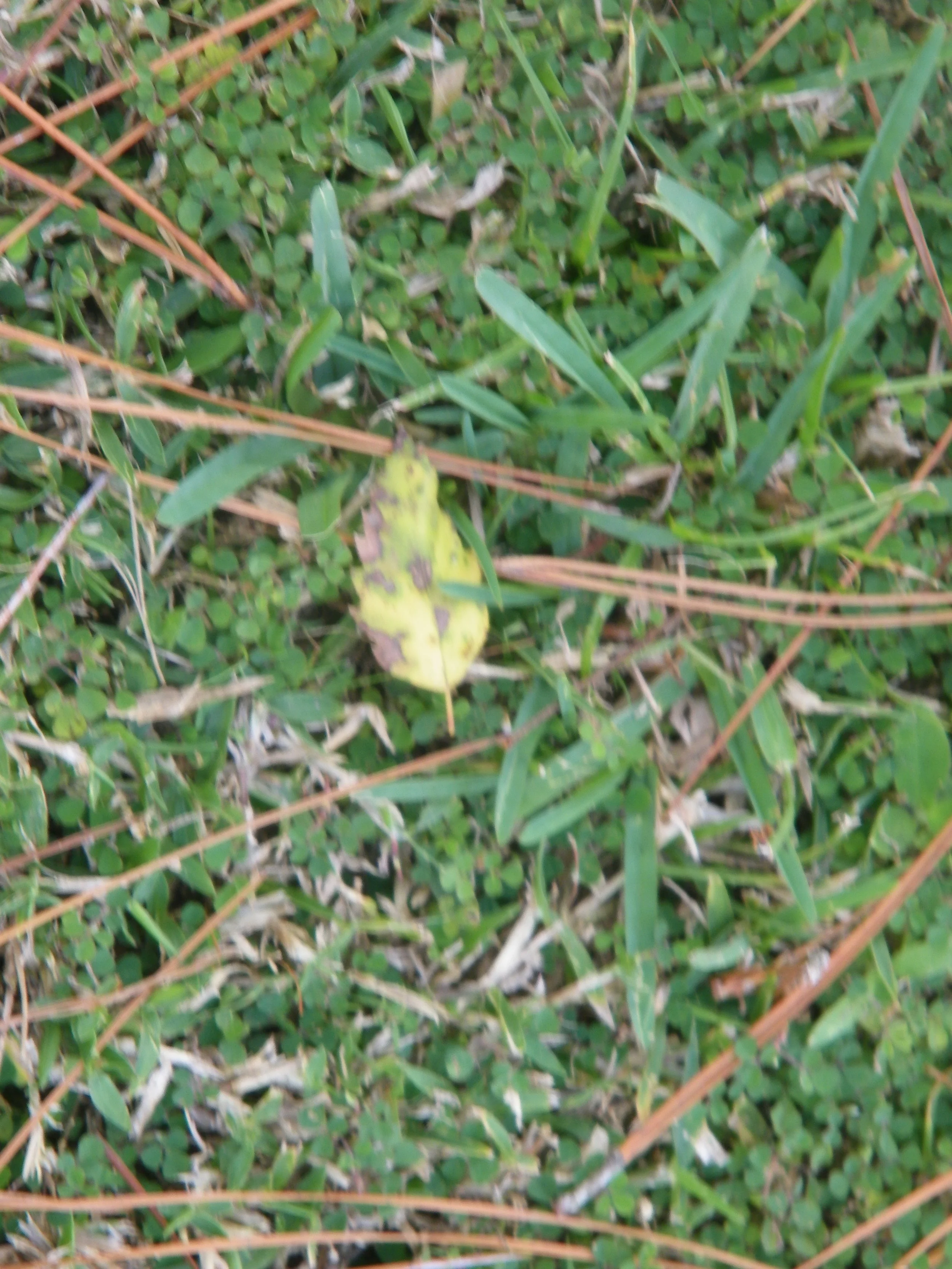100_0054.JPG