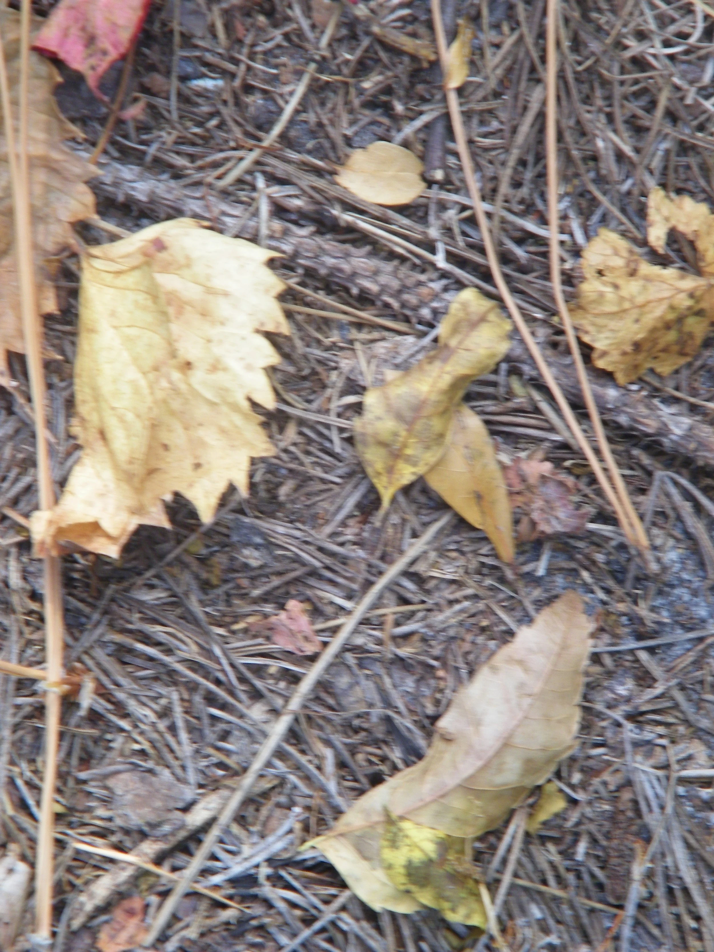 100_0030.JPG