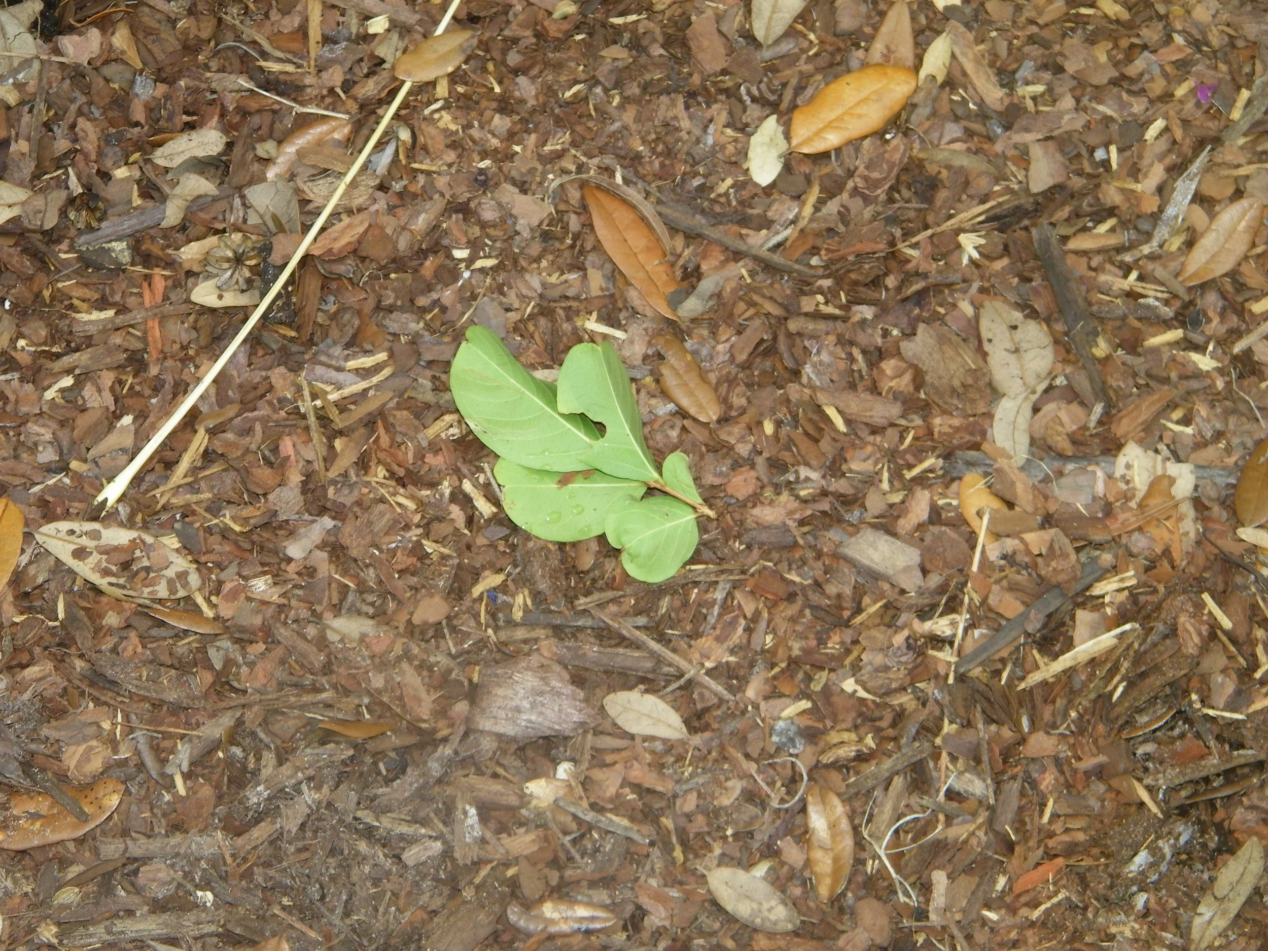 100_5361.JPG