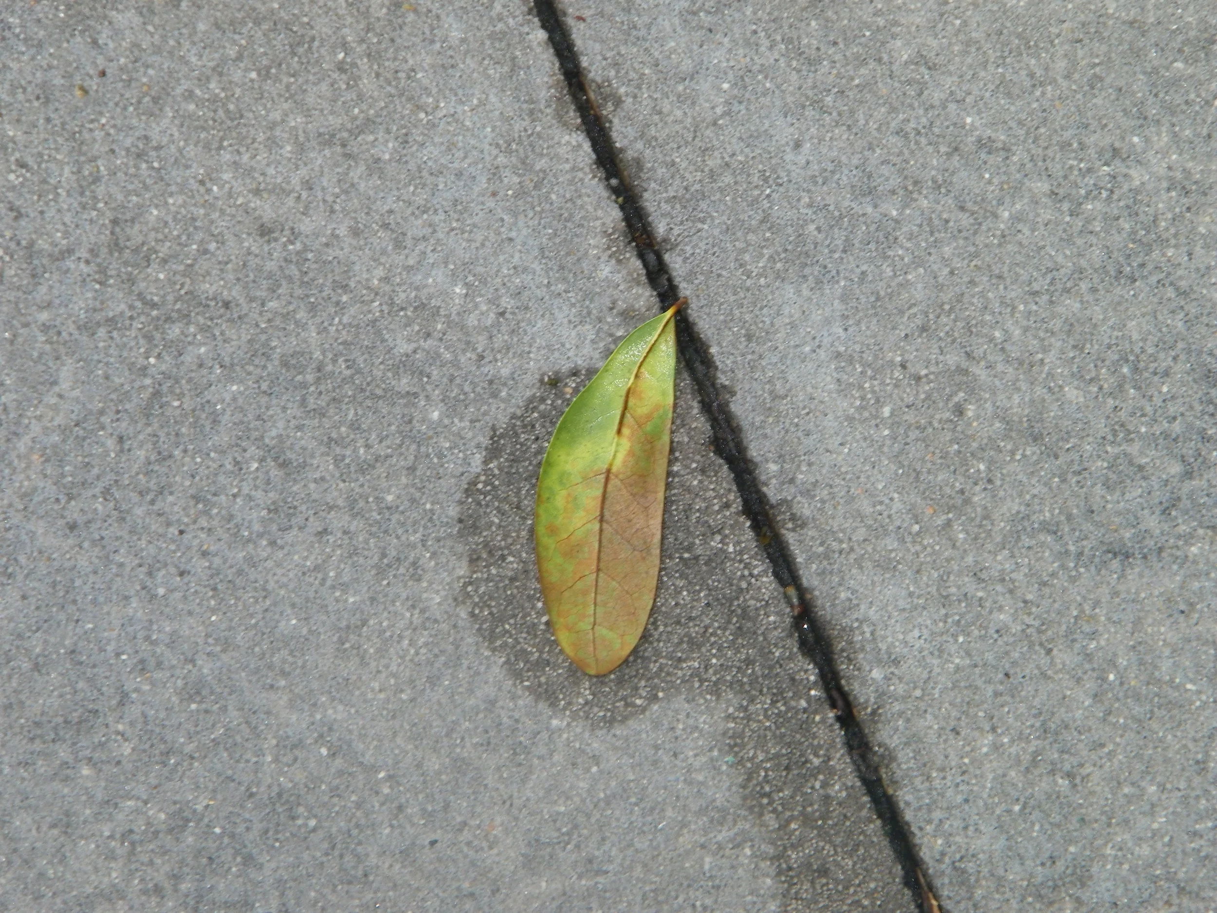 100_5329.JPG