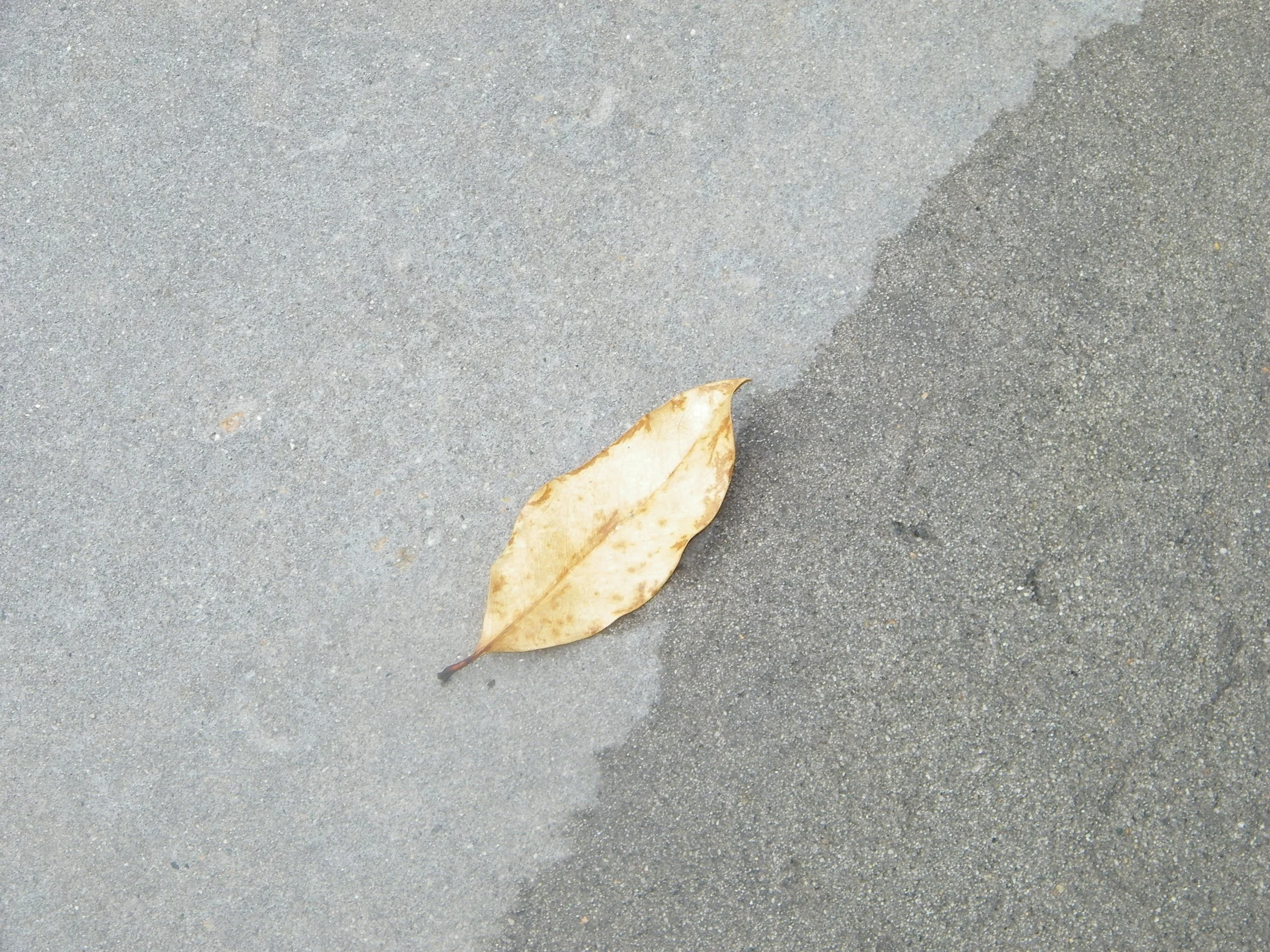 100_5326.JPG