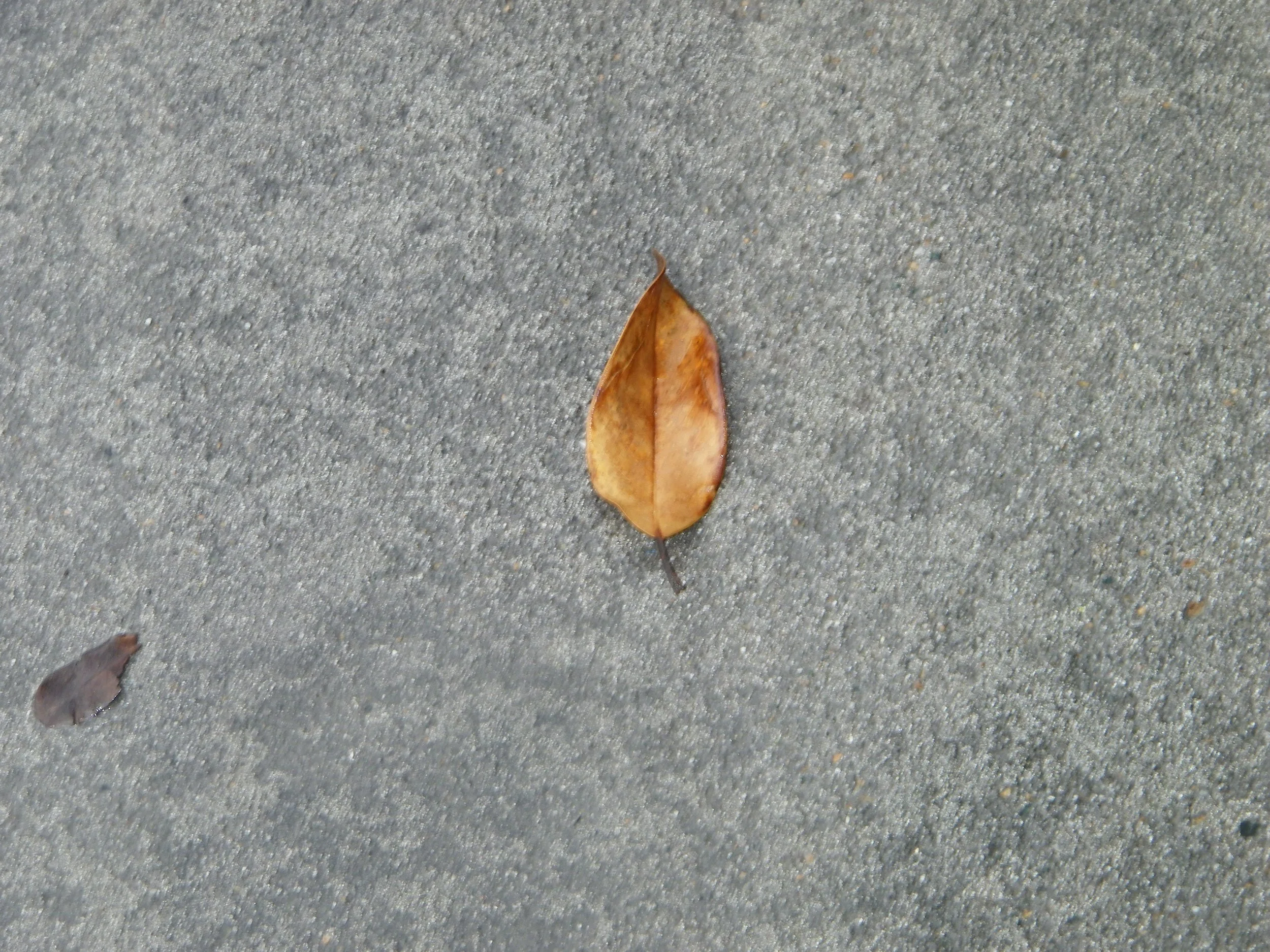 100_5325.JPG