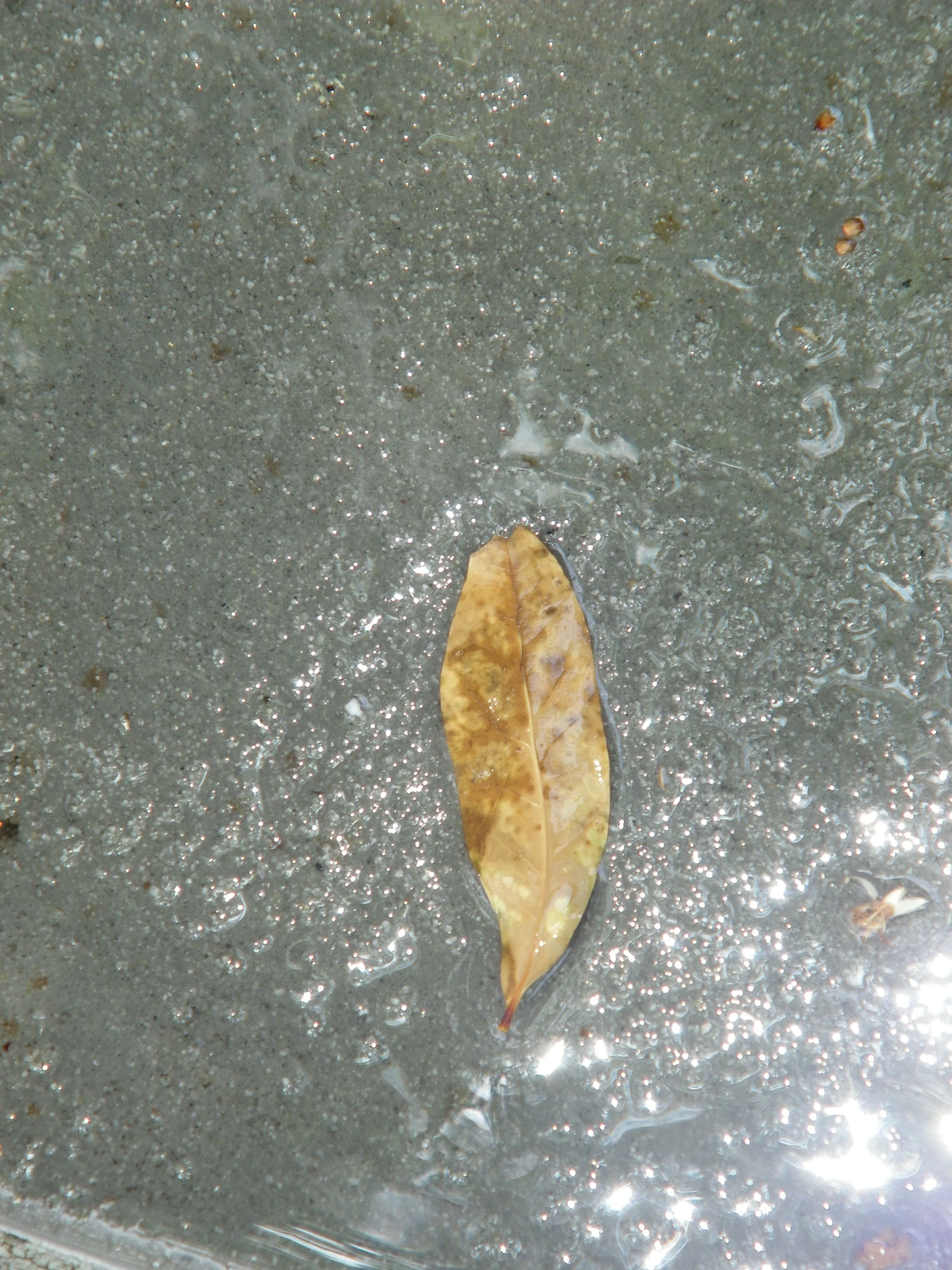 100_4182.JPG
