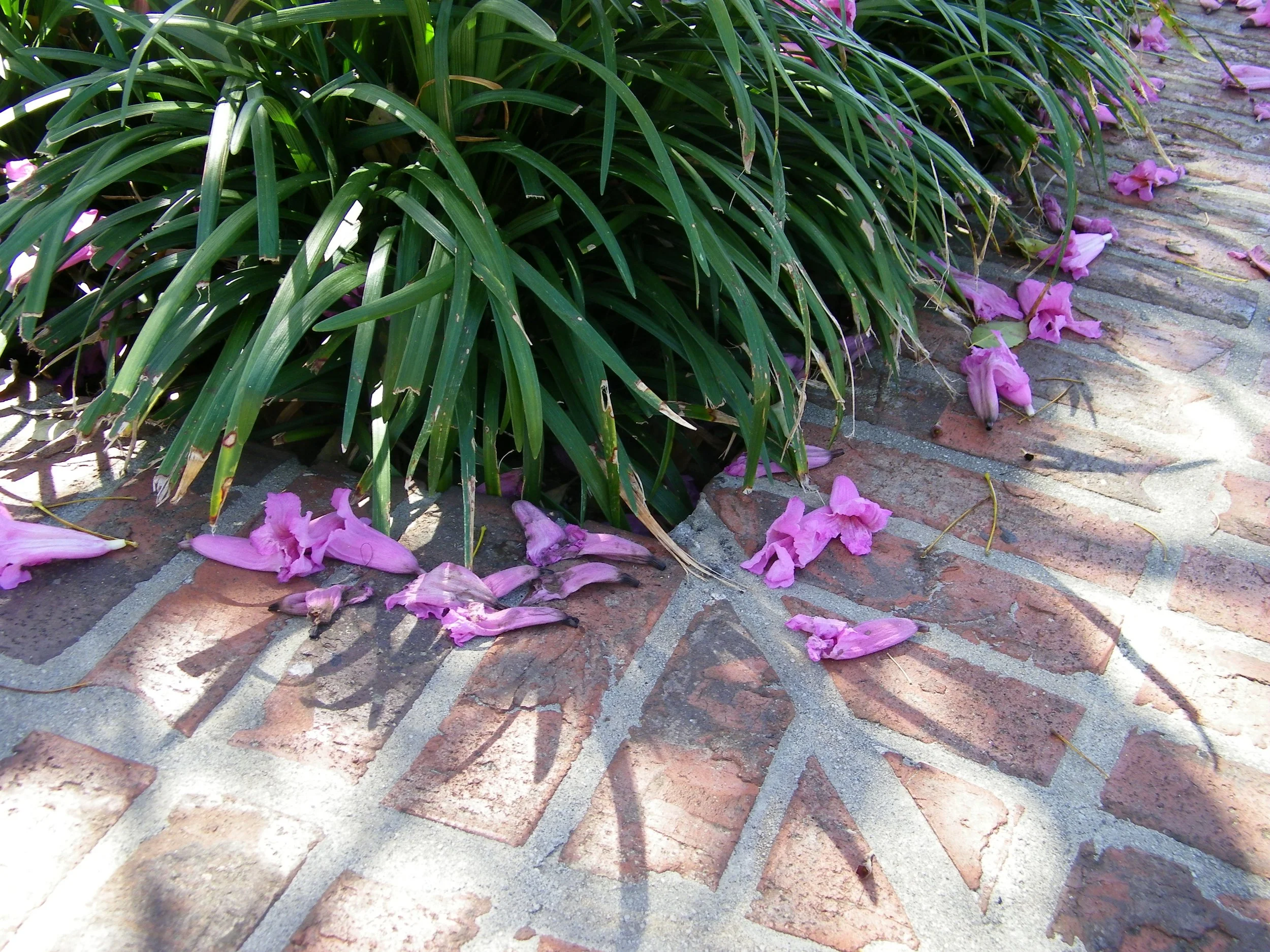 100_0187.JPG
