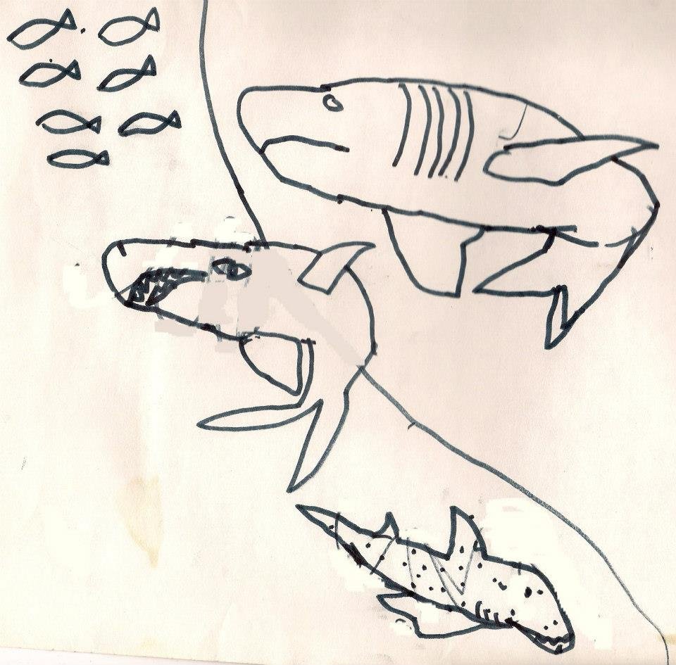923008_378938892225665_1560165965_n.jpg