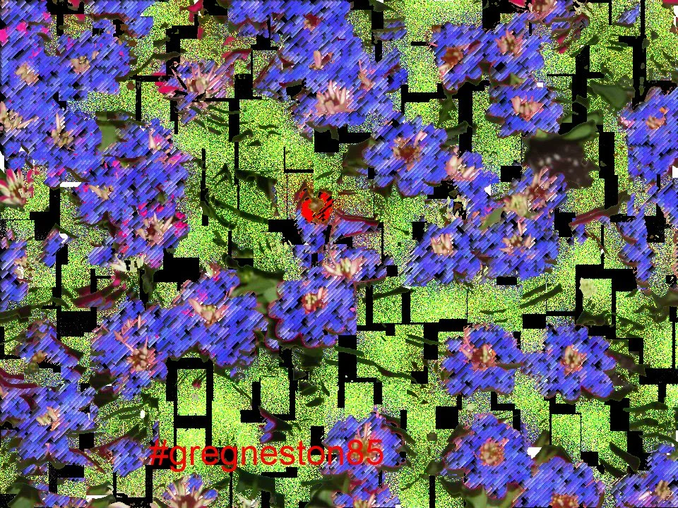 Greg N 01.jpg