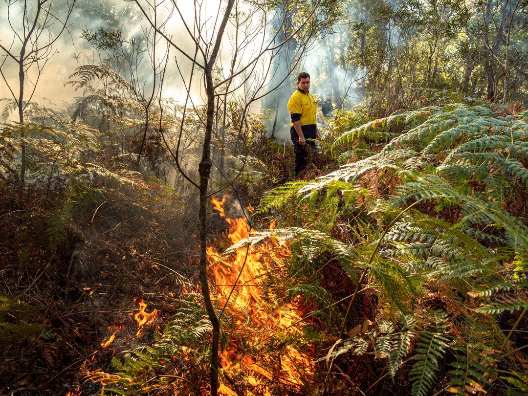 &ldquo;Most grasses love the right fire. That fire will go through and clear all the dead stuff that's not meant to be there. It's like brushing your hair and getting a haircut, basically.&rdquo;

That&rsquo;s Peter Dixon (second image), an Indigenou