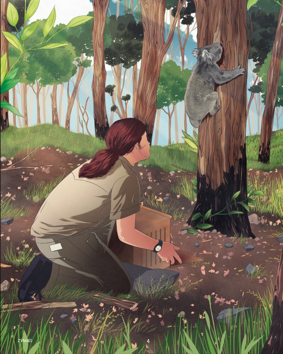 I'm loving this illustration from Phil Constantinesco of a healthy koala being returned to its habitat in East Gippsland. It accompanied my story in Zoos Victoria Magazine about the amazing vets and nurses who rescued and rehabilitated dozens of inju