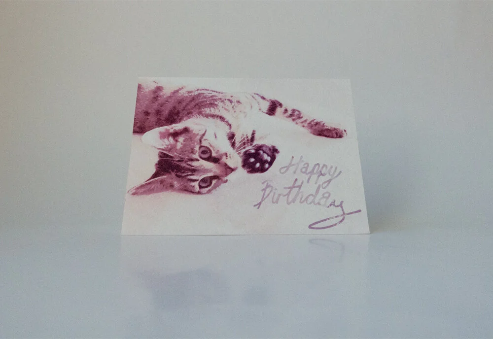 HappyBirthdayCat-ETSY3.jpg